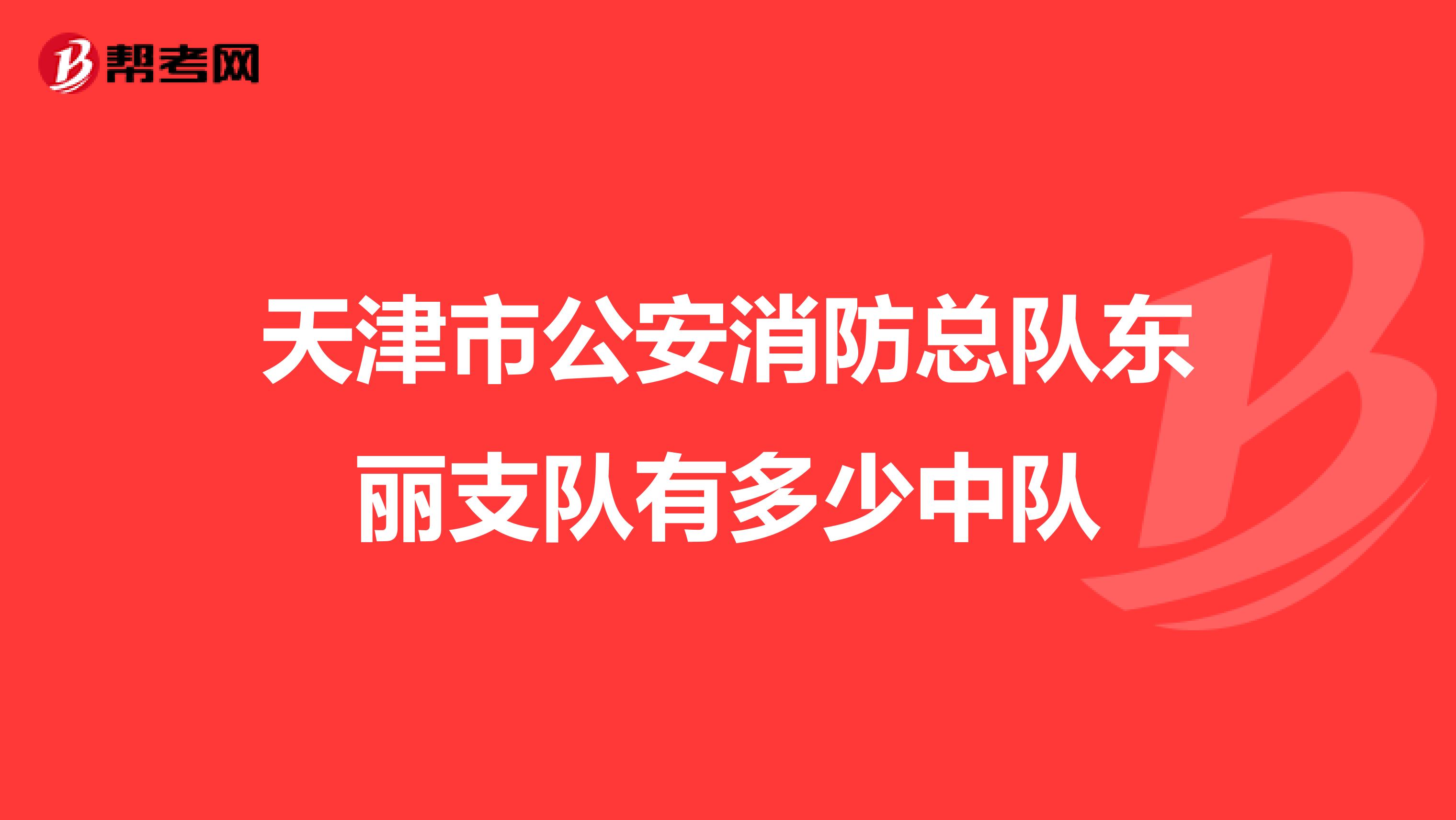 天津市公安消防总队东丽支队有多少中队