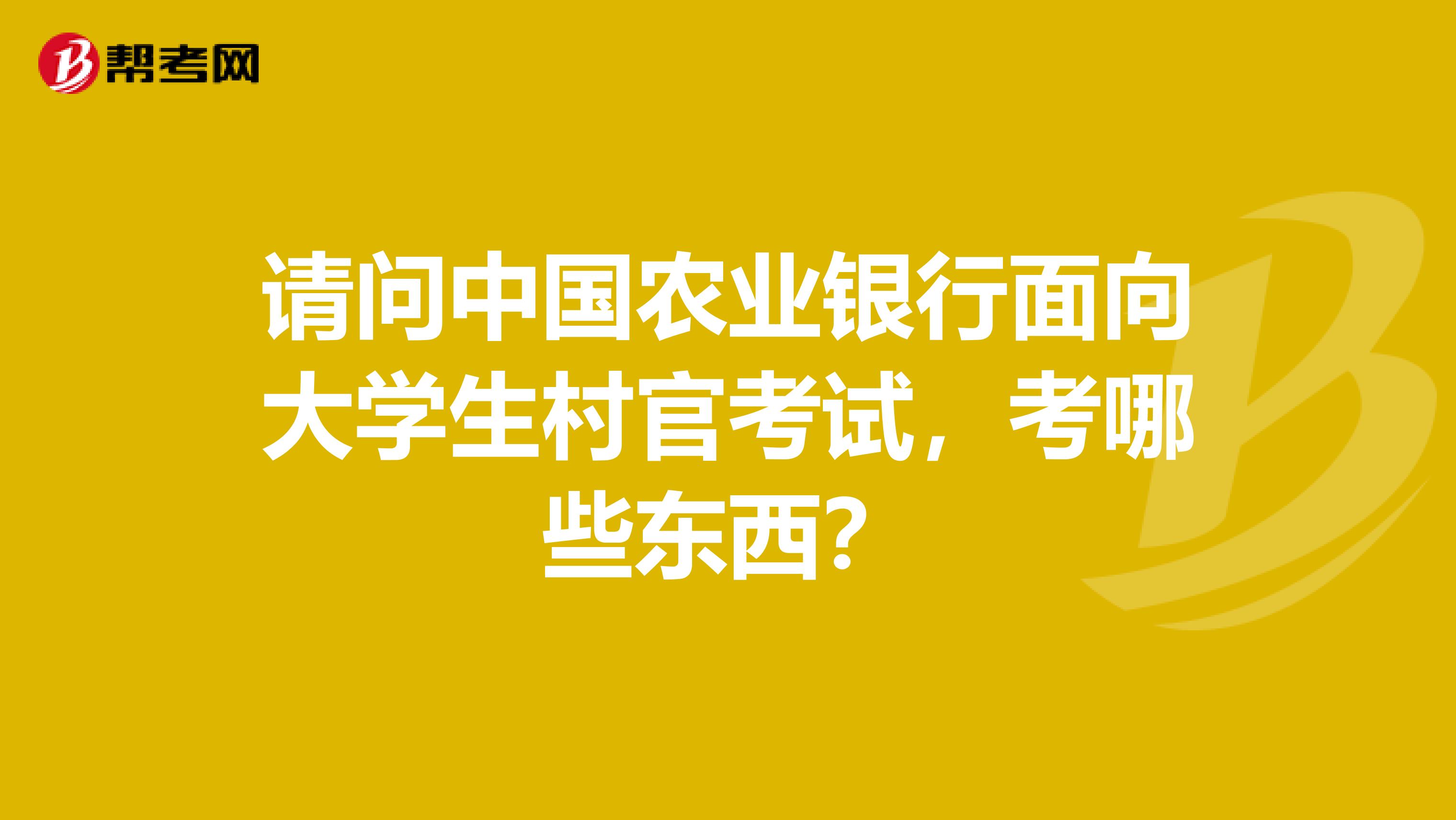 请问中国农业银行面向大学生村官考试,考哪些东西?