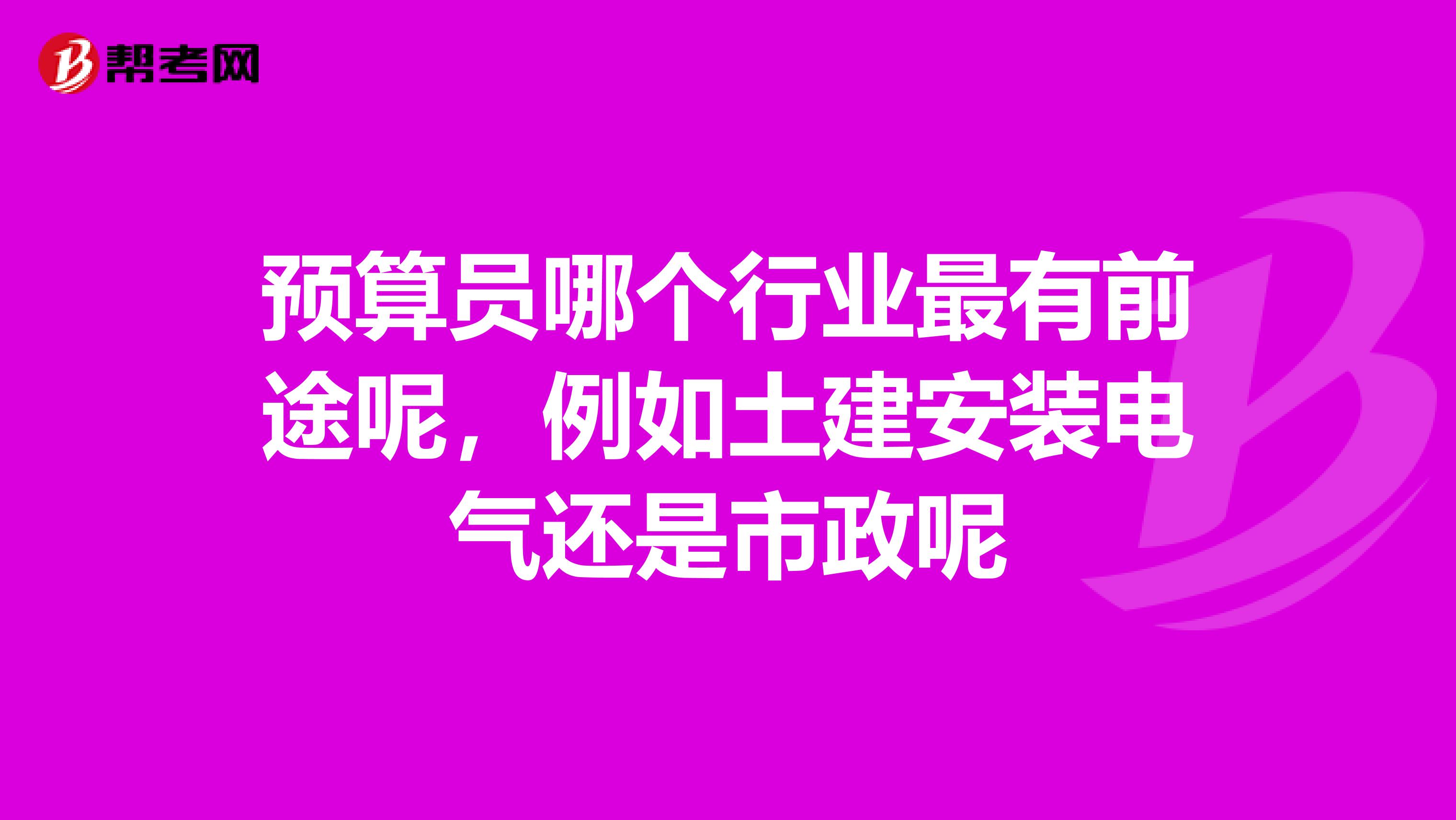 预算员哪个行业最有前途呢，例如土建安装电气还是市政呢