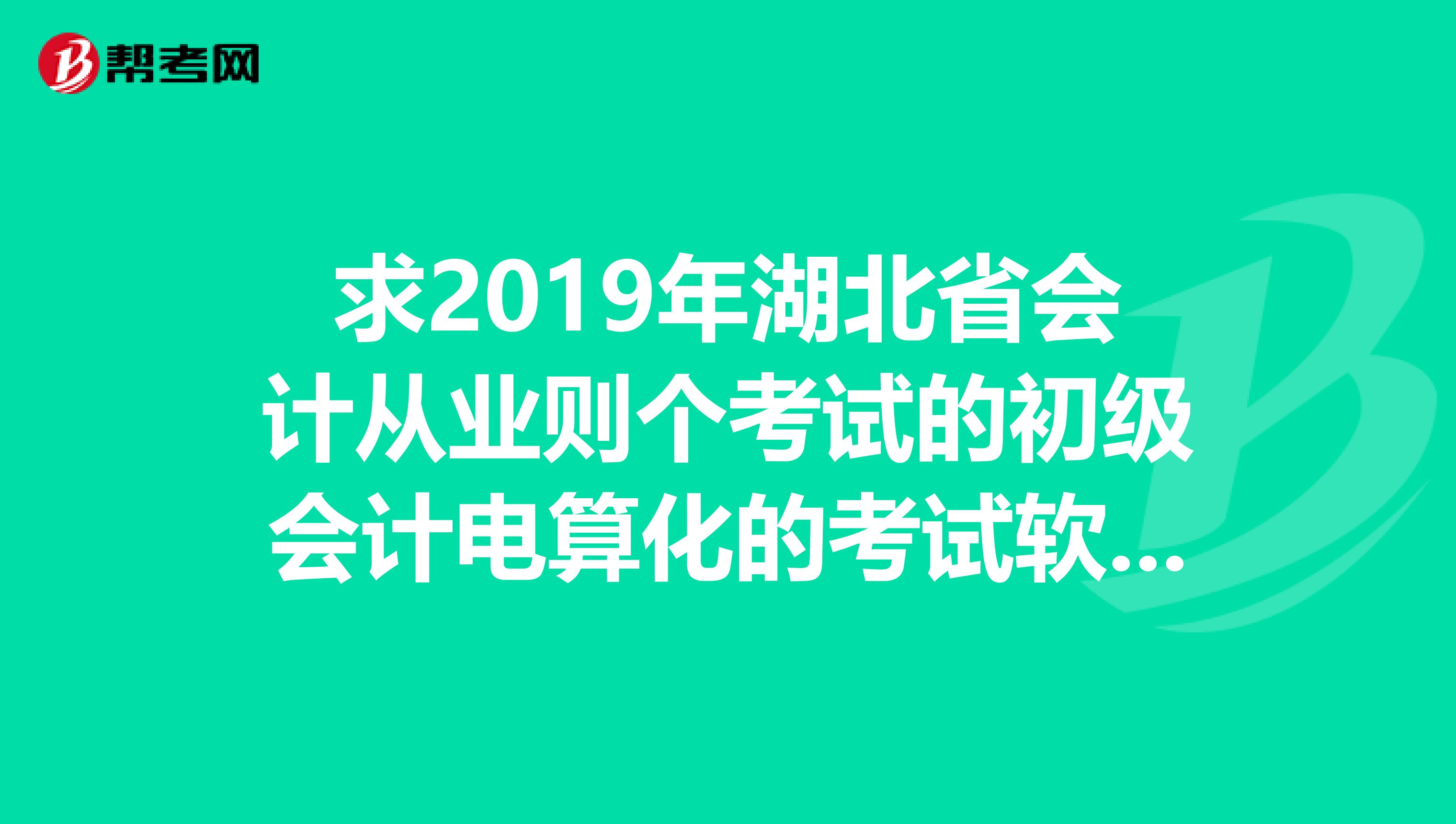 求2019年湖北省会计从业则个考试的初级会计电算化的考试软件模拟练习的资料
