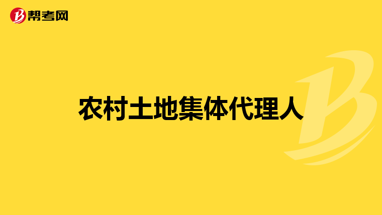 農村土地集體代理人