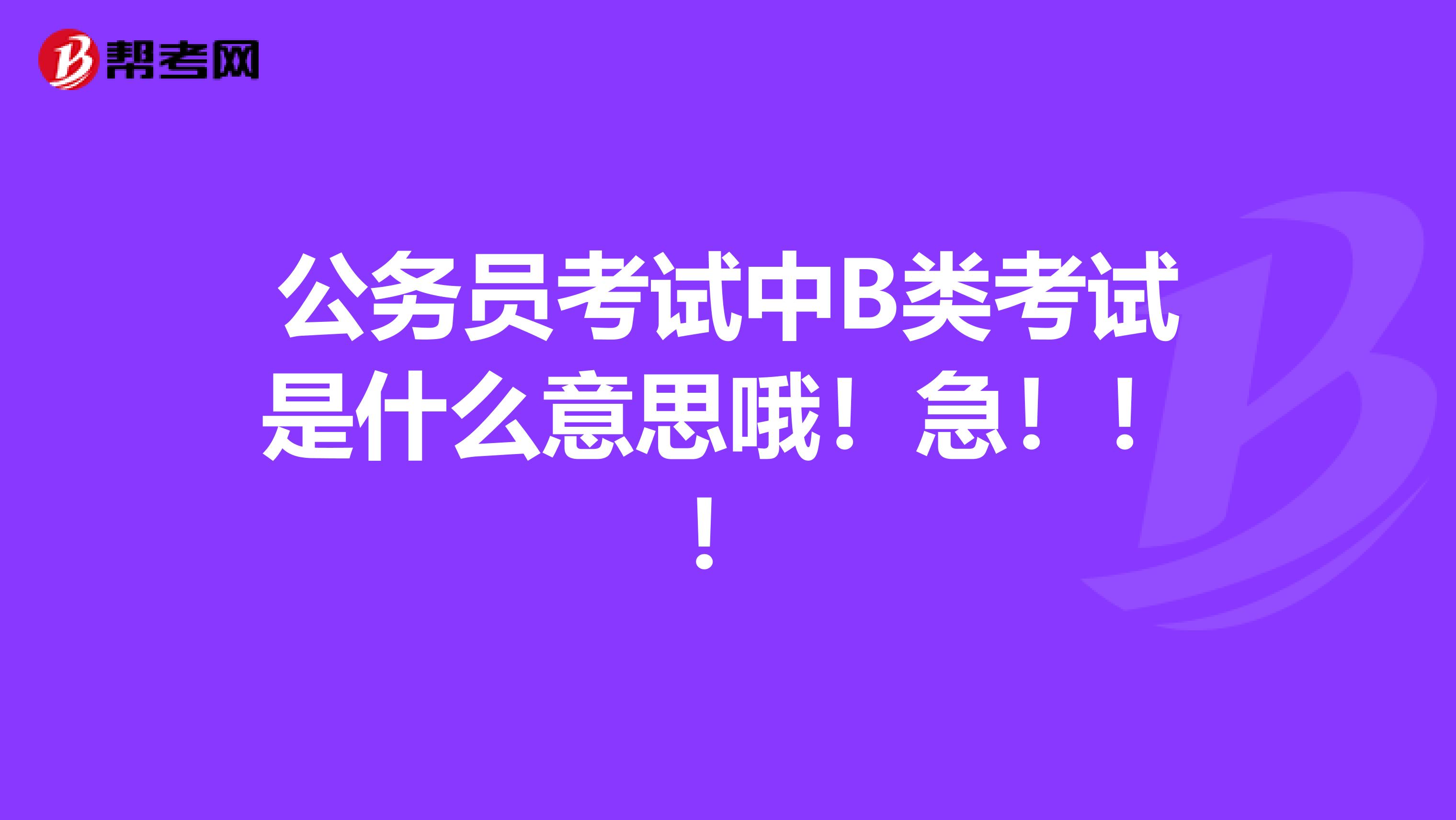 公务员考试中B类考试是什么意思哦!急!!!