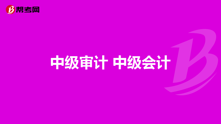 中级审计 中级会计