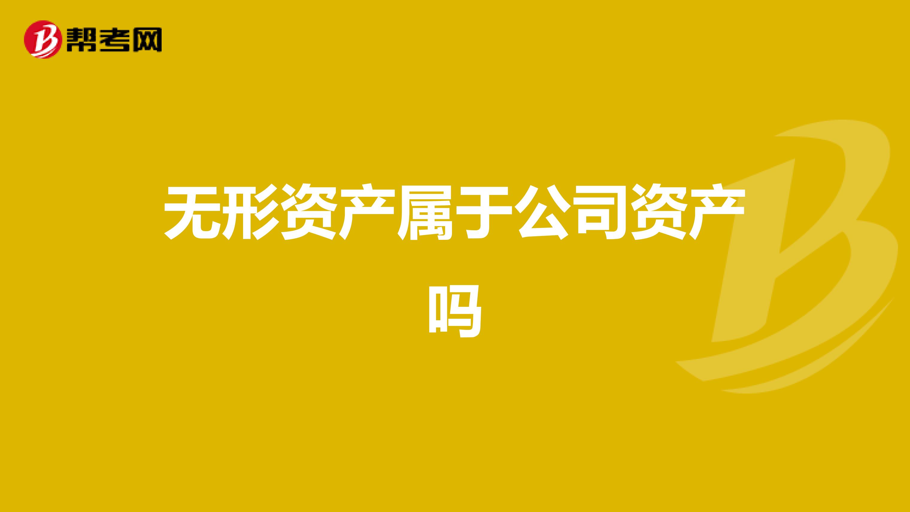 无形资产属于公司资产吗