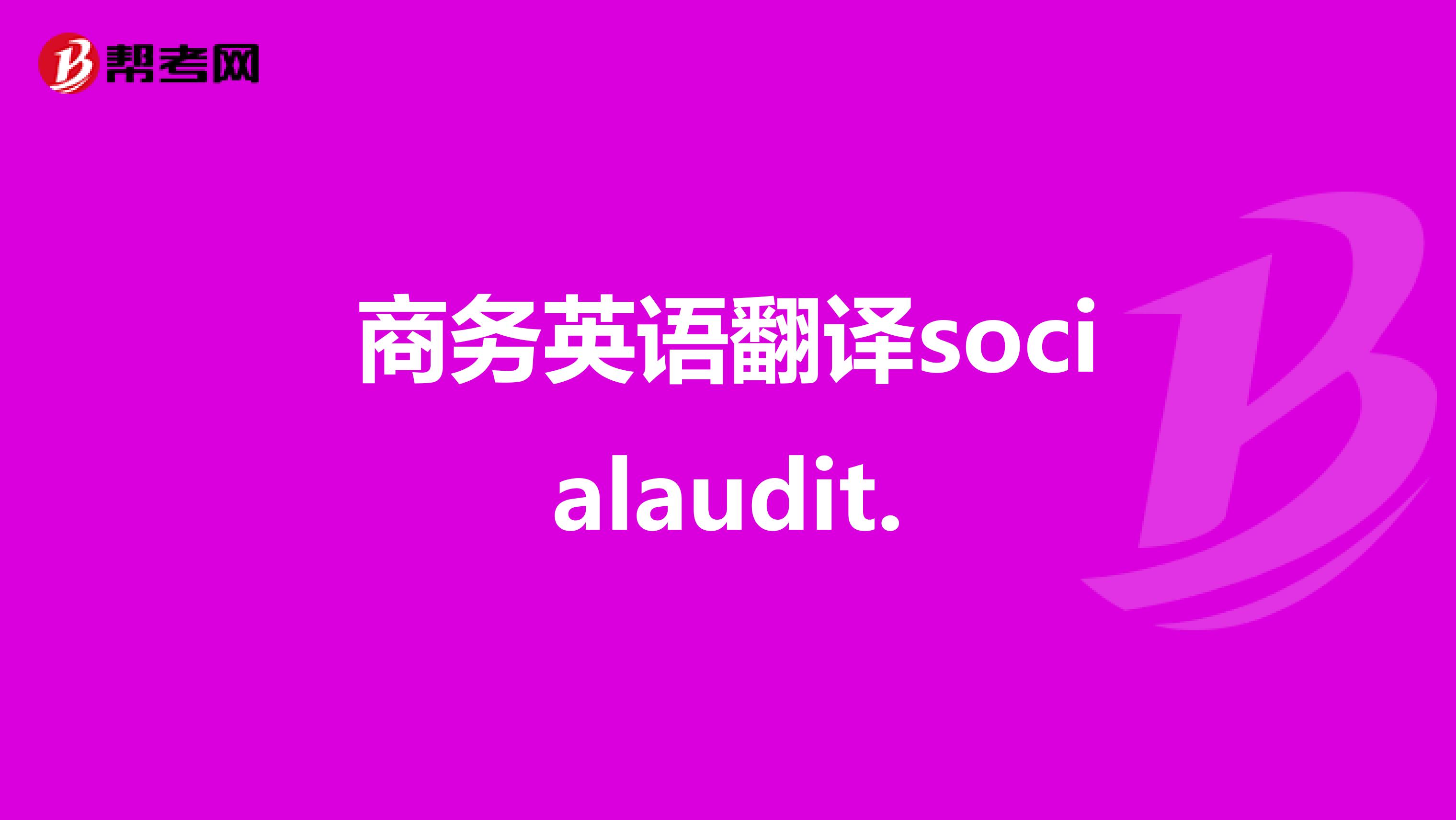 商务英语翻译socialaudit.