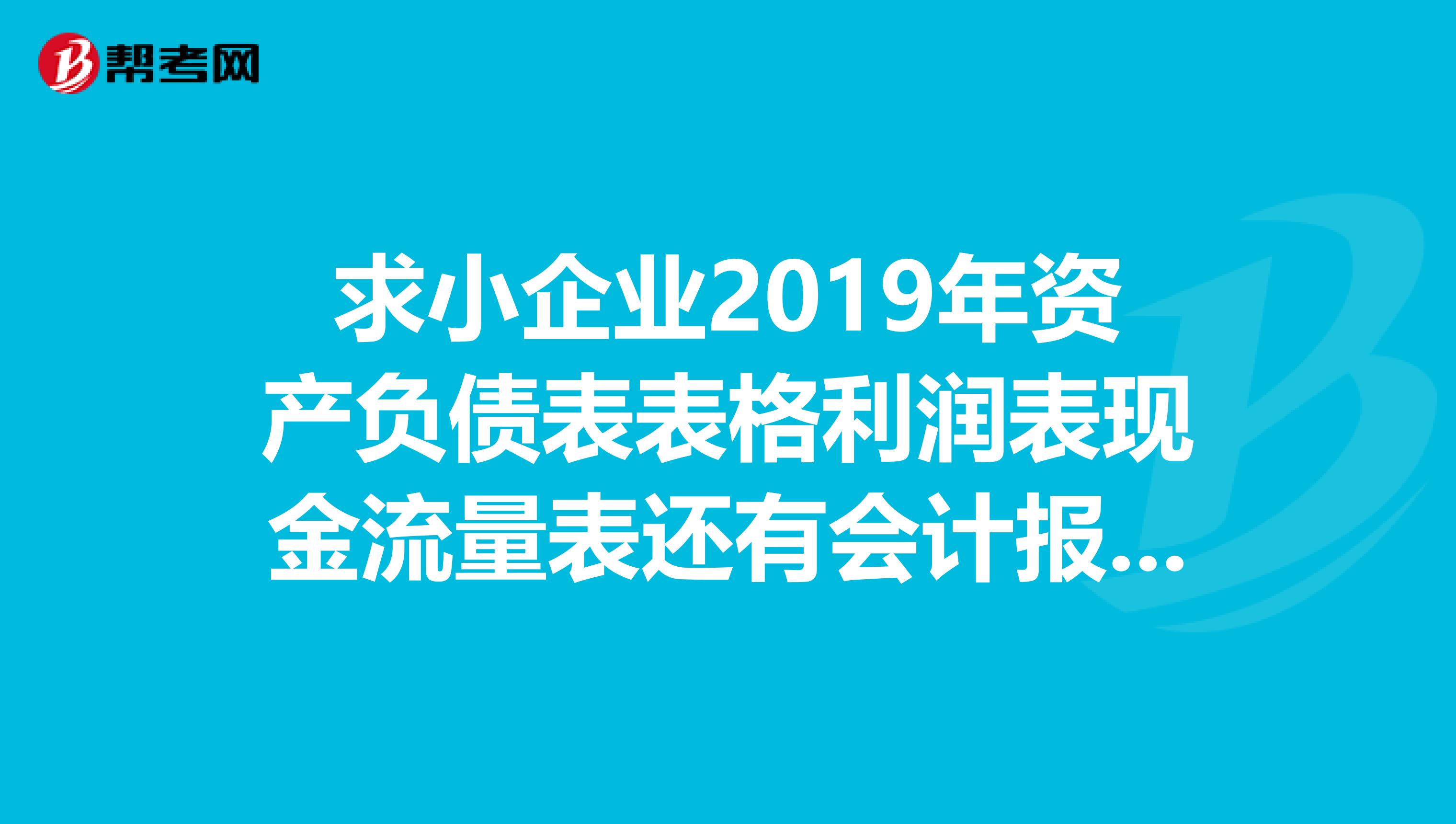 求小企业2019年资产负债表表格利润表现金流量表还有会计报表附注