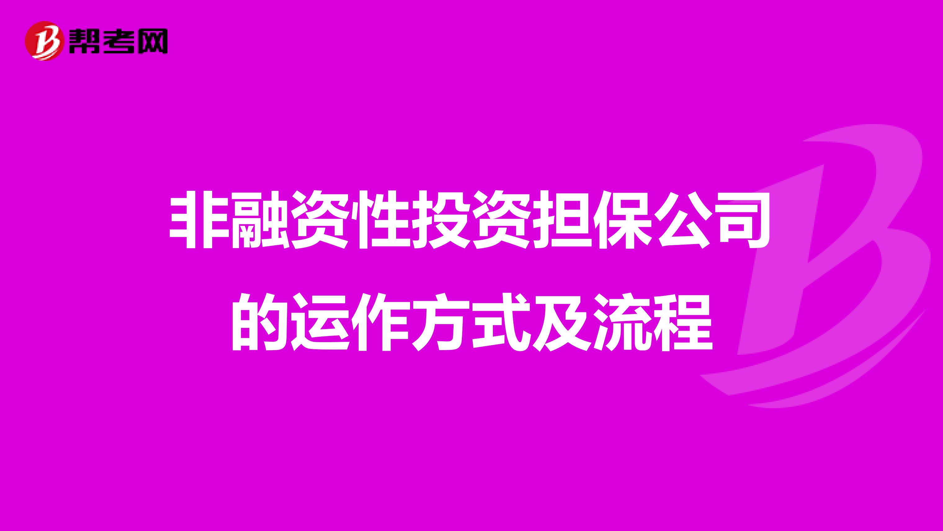 非融资性投资担保公司的运作方式及流程