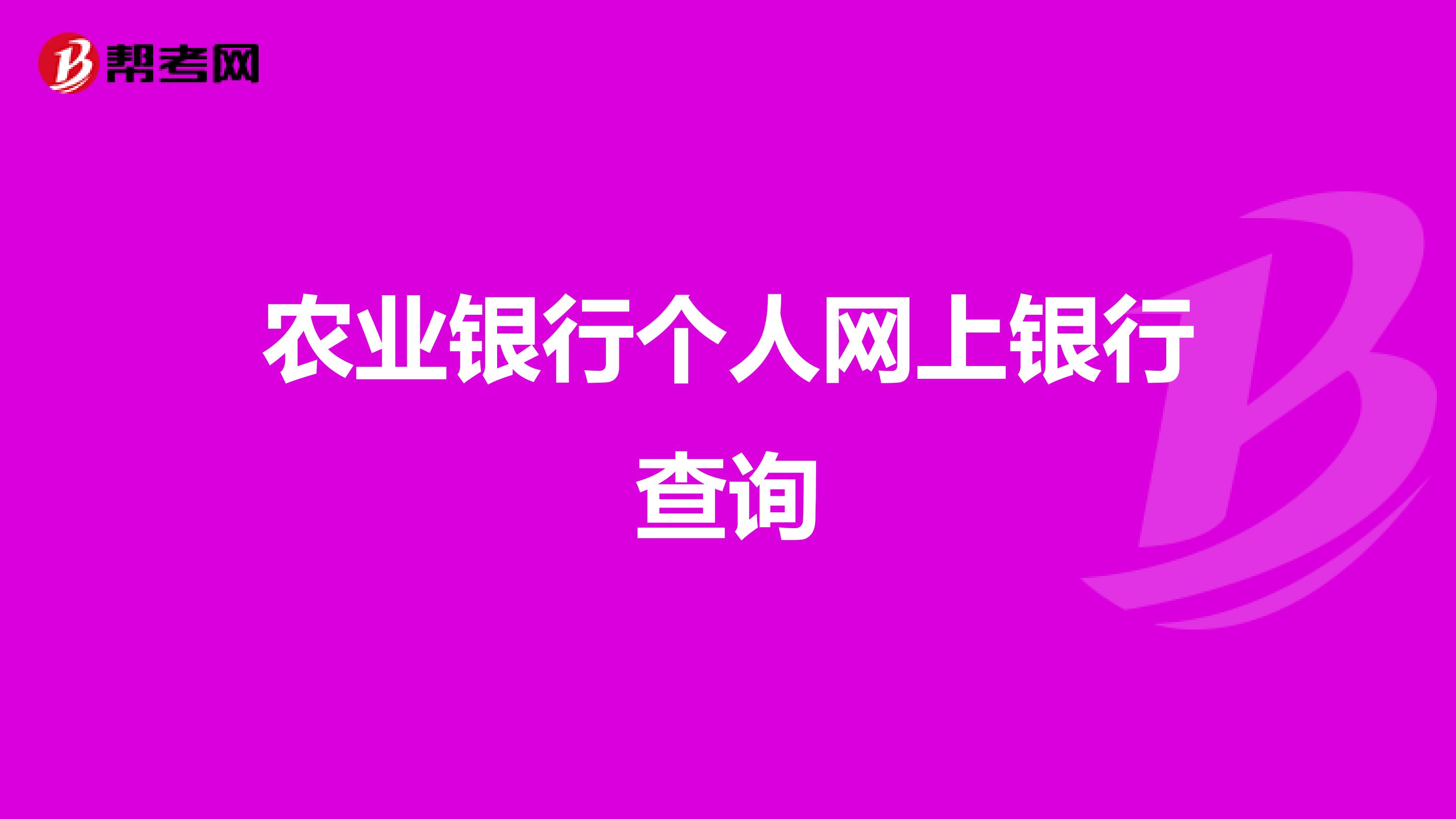 农业银行个人网上银行查询
