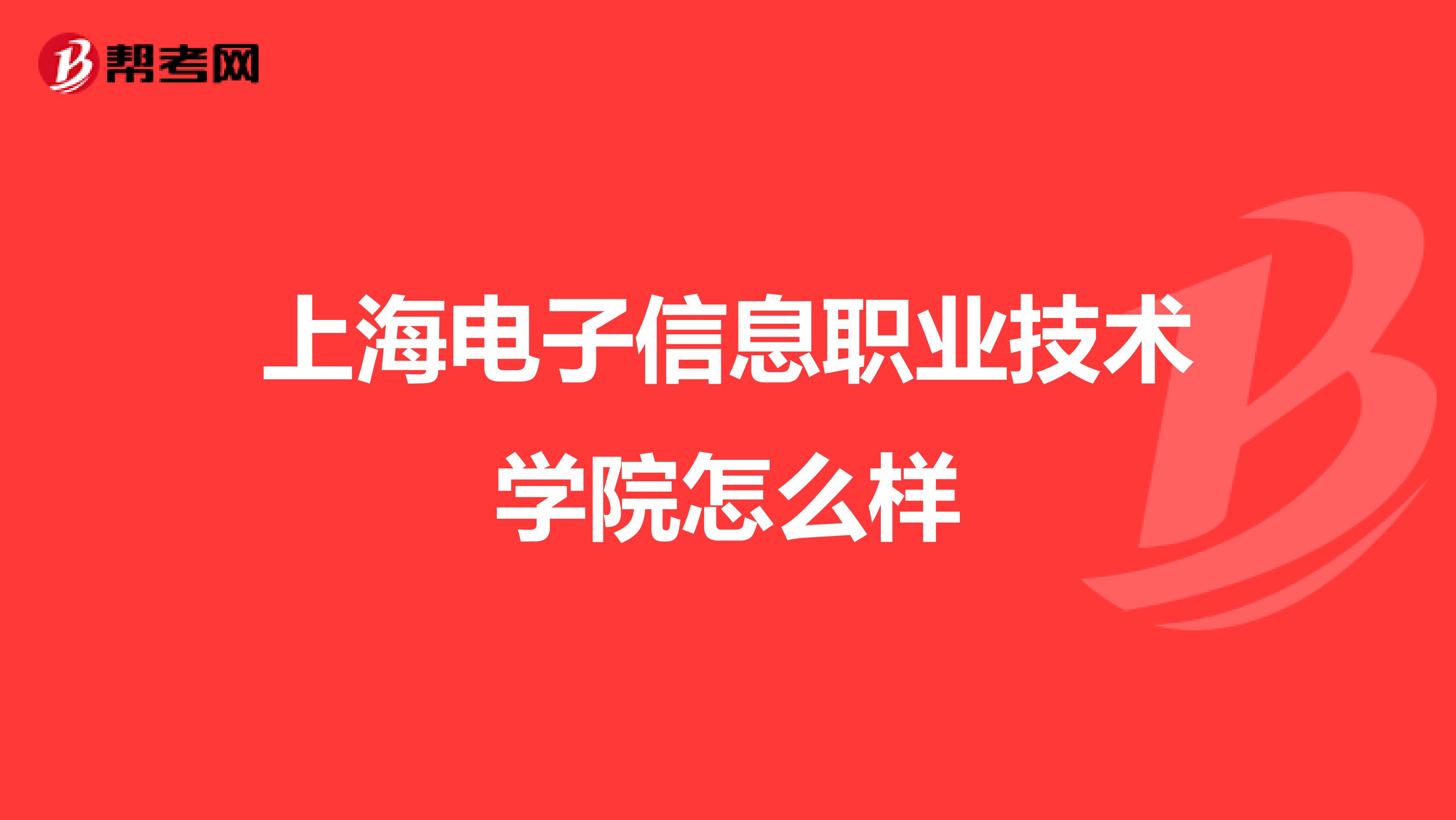 上海电子信息职业技术学院怎么样