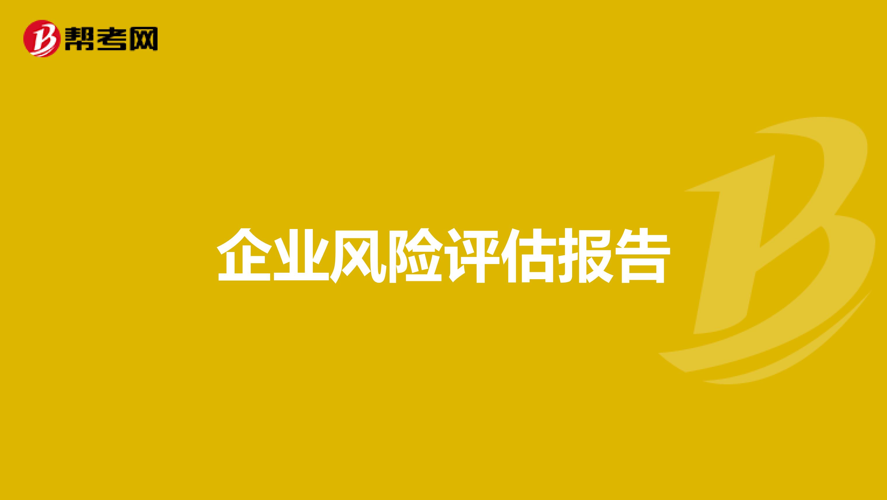 企业风险评估报告