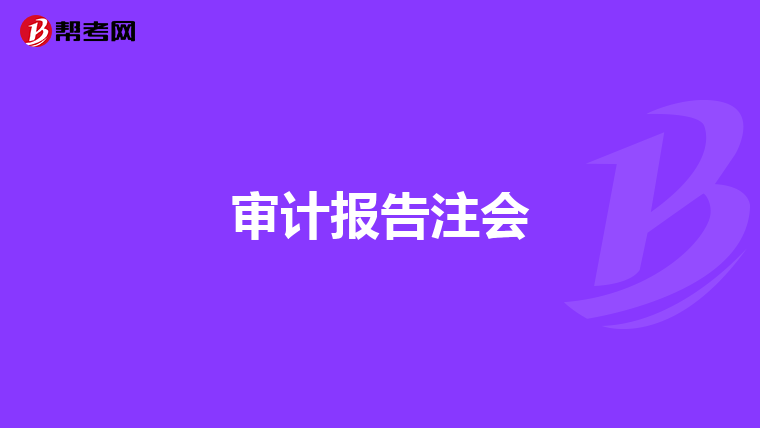 审计报告注会
