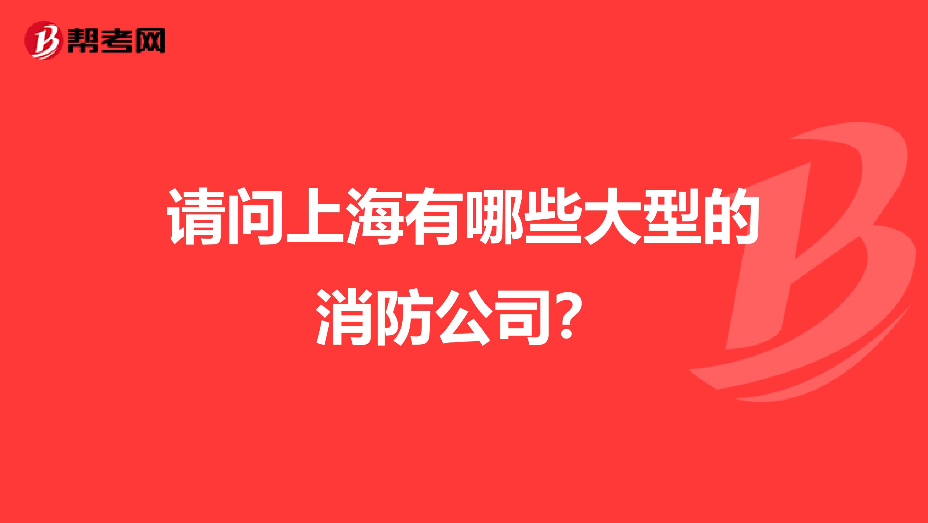 请问上海有哪些大型的消防公司？