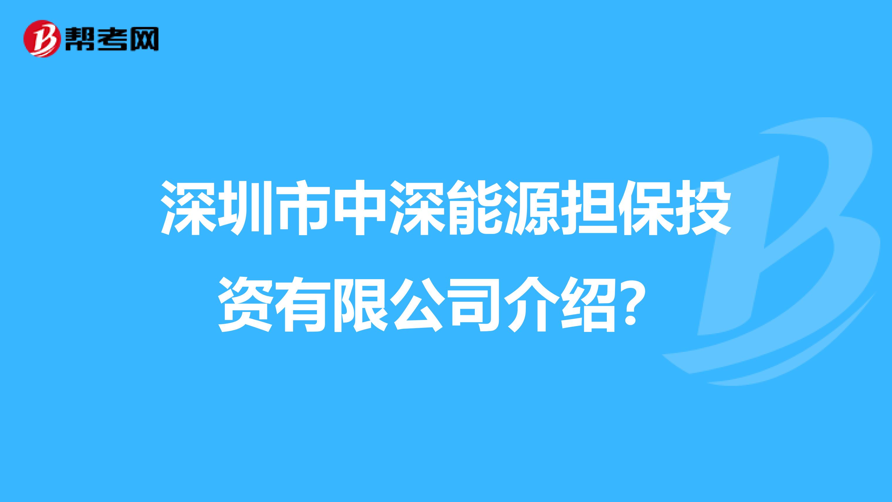 深圳市中深能源担保投资有限公司介绍？