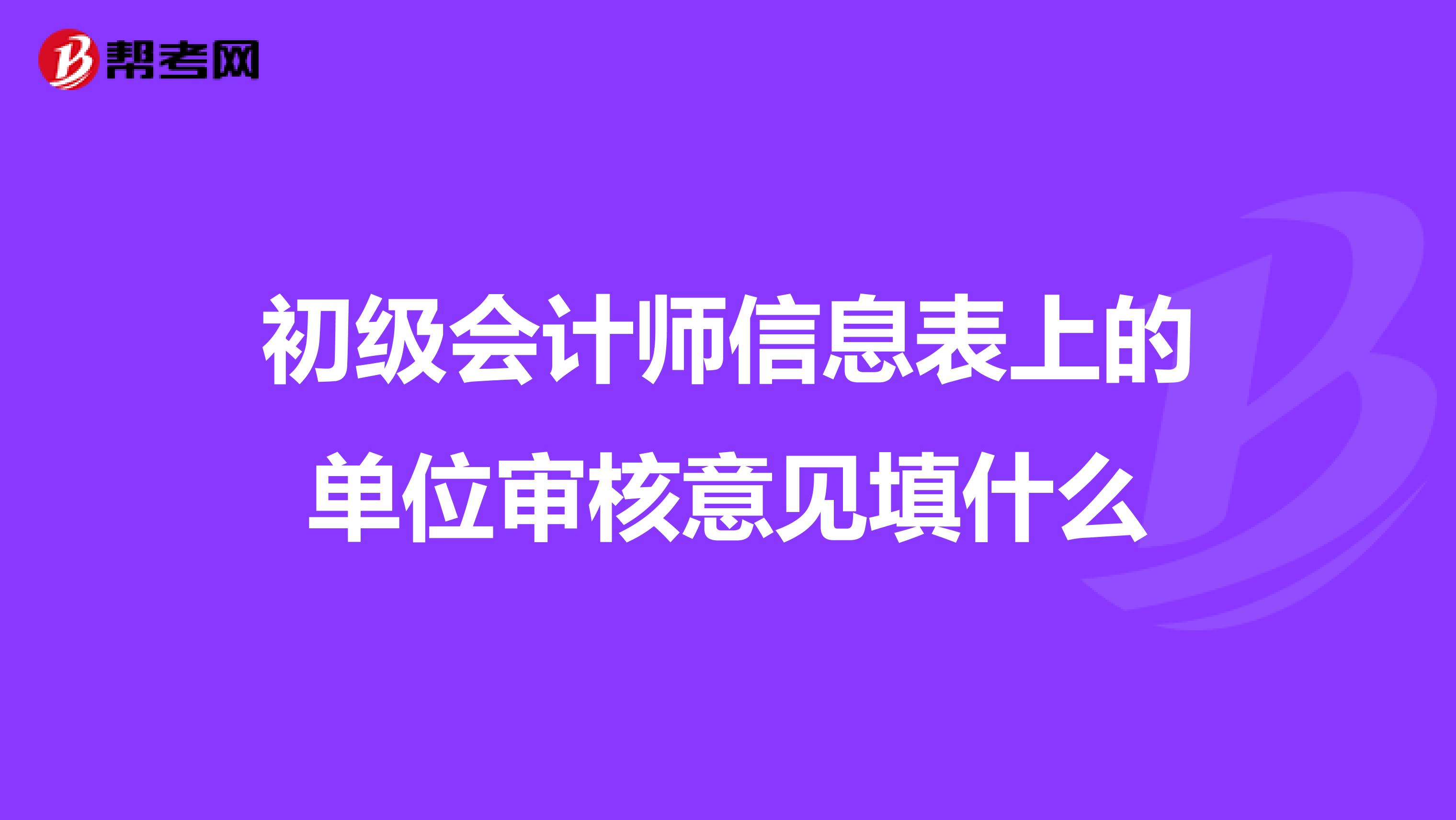 初级会计师信息表上的单位审核意见填什么