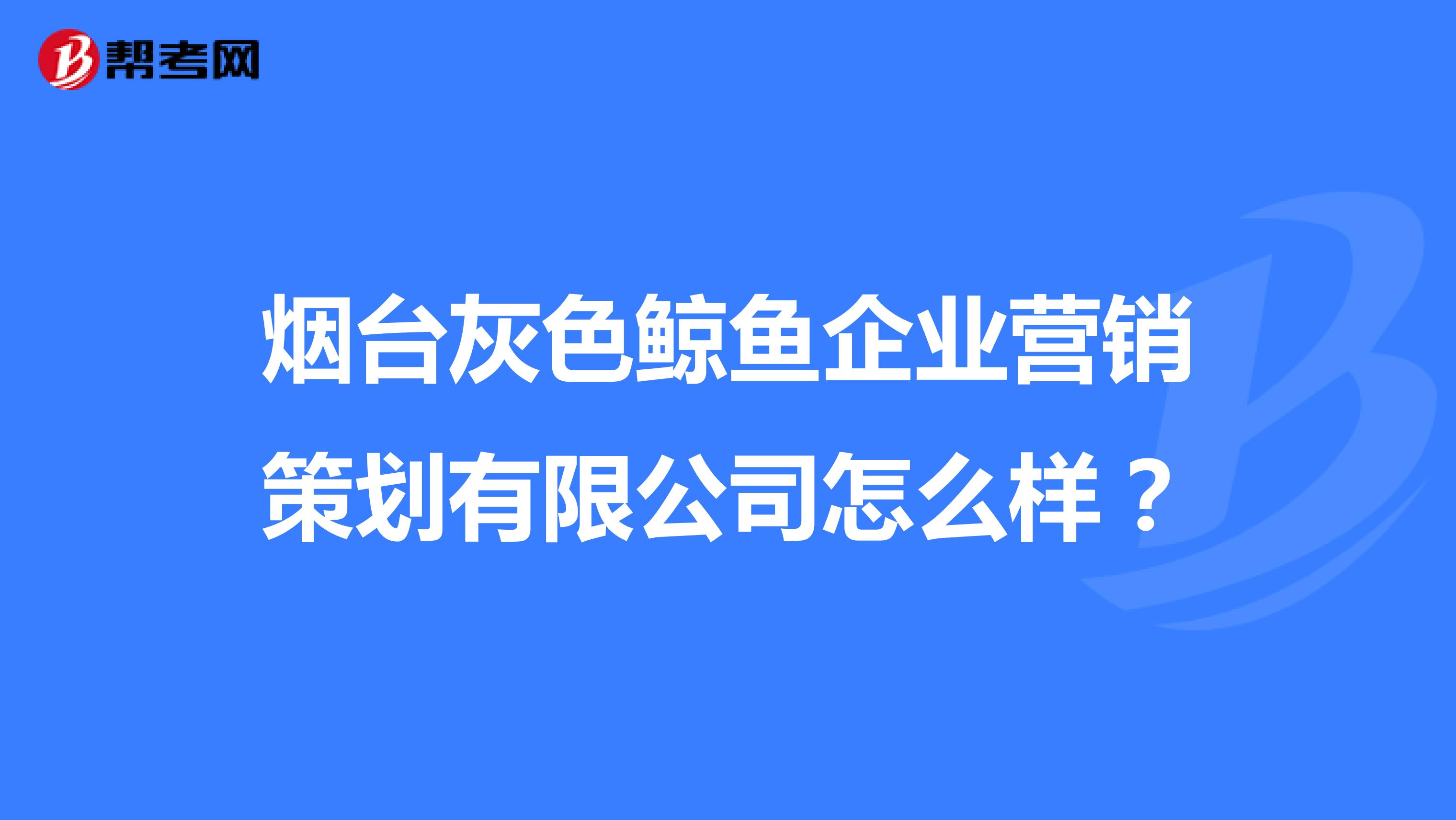 烟台灰色鲸鱼企业营销策划有限公司怎么样？