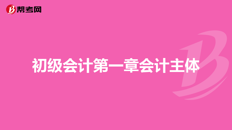 初级会计第一章会计主体