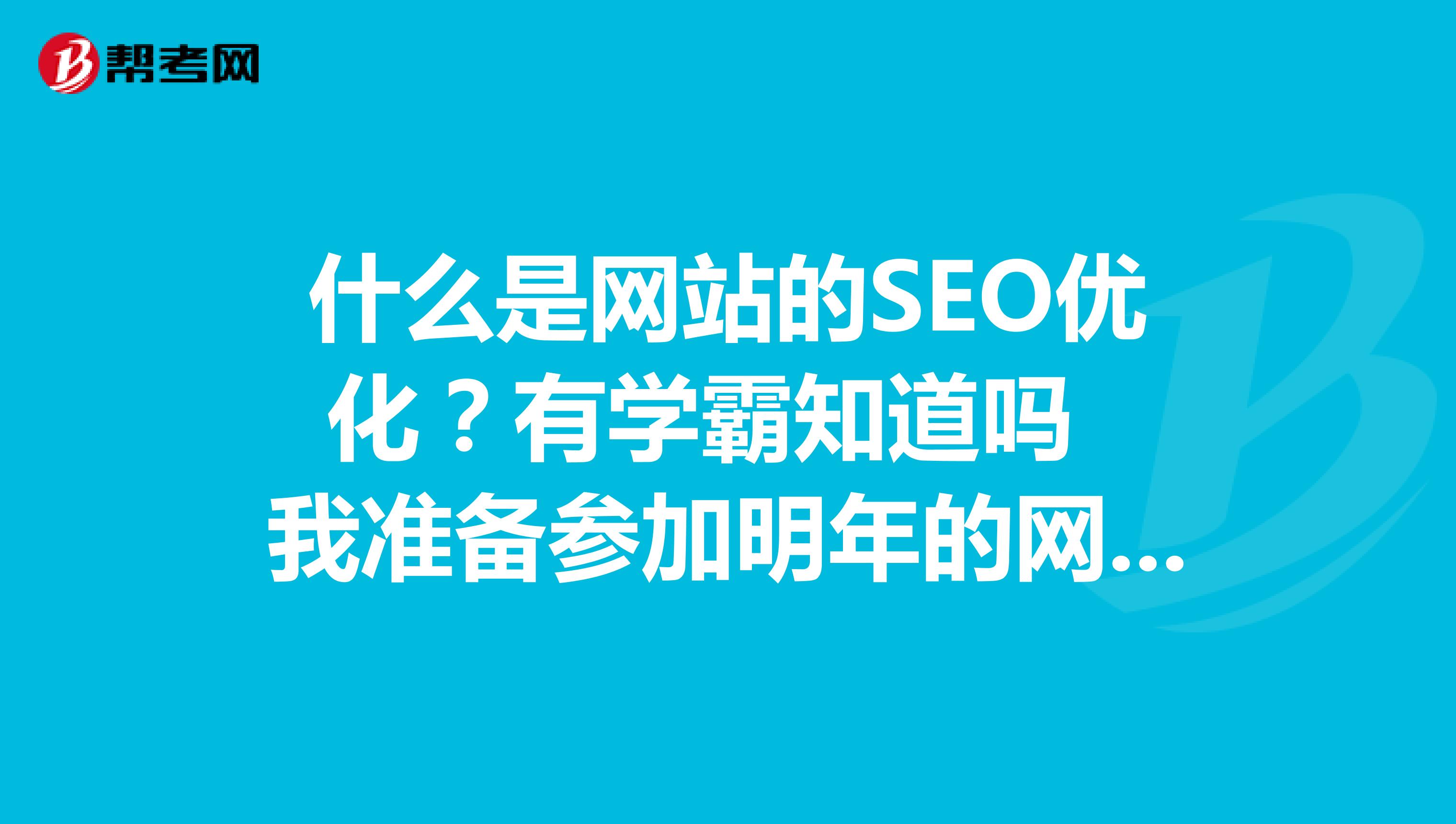 什么是网站的SEO优化?有学霸知道吗 我准备参加明年的网络编辑考试