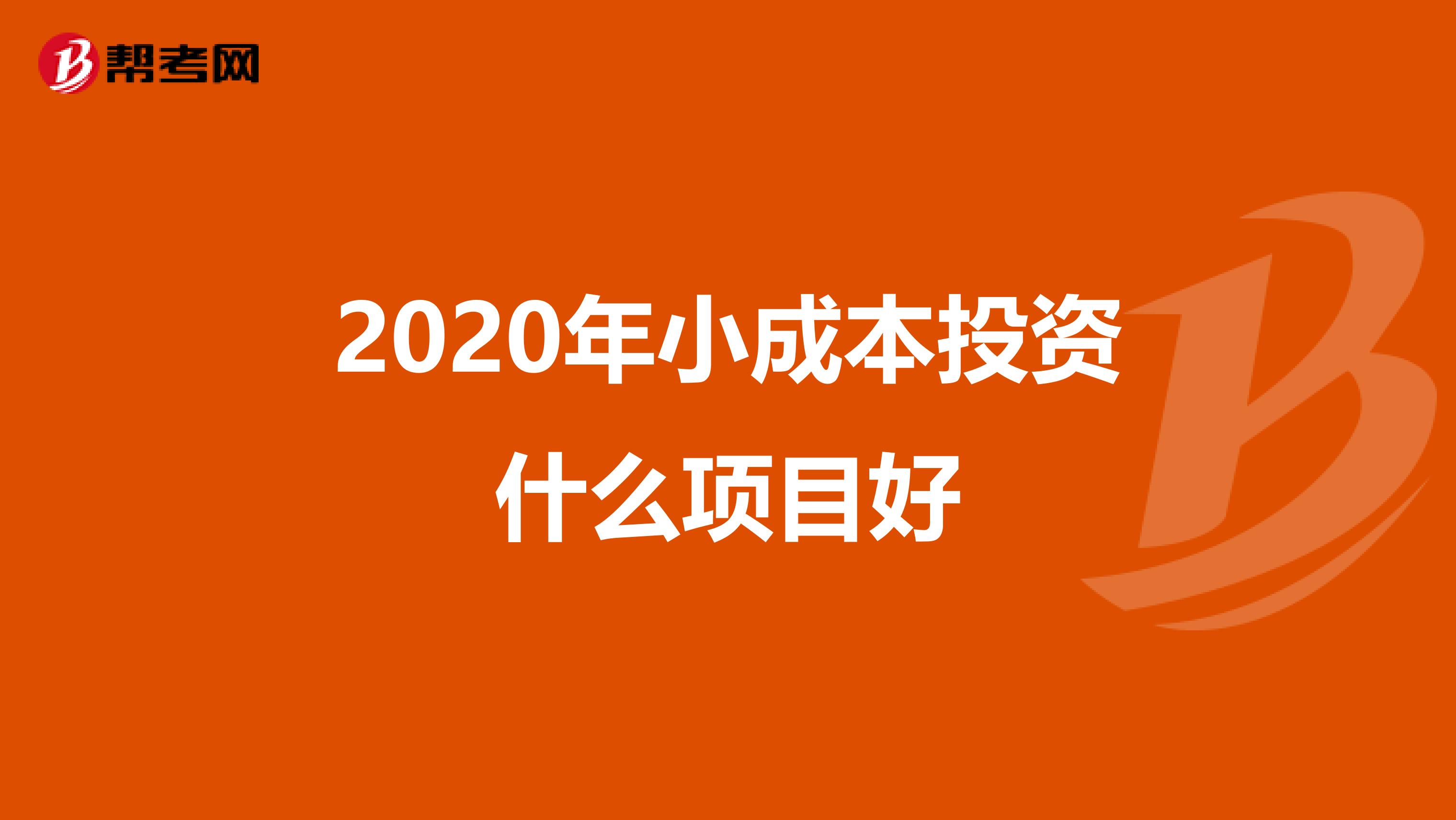 2020年小成本投资什么项目好