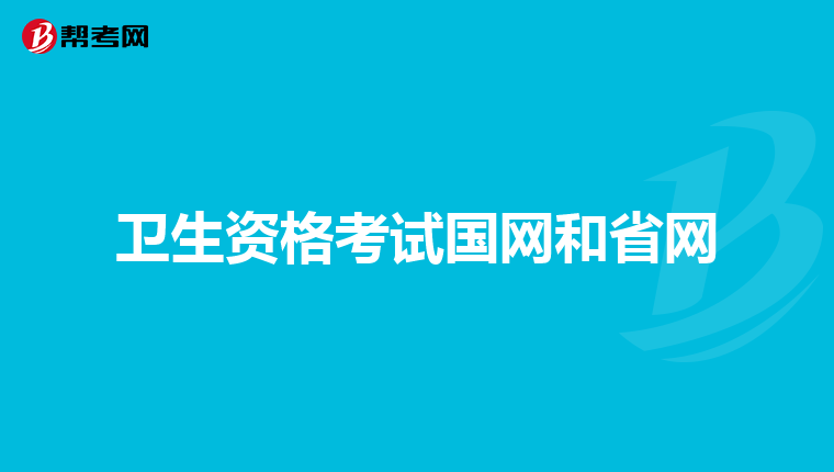 卫生资格考试国网和省网
