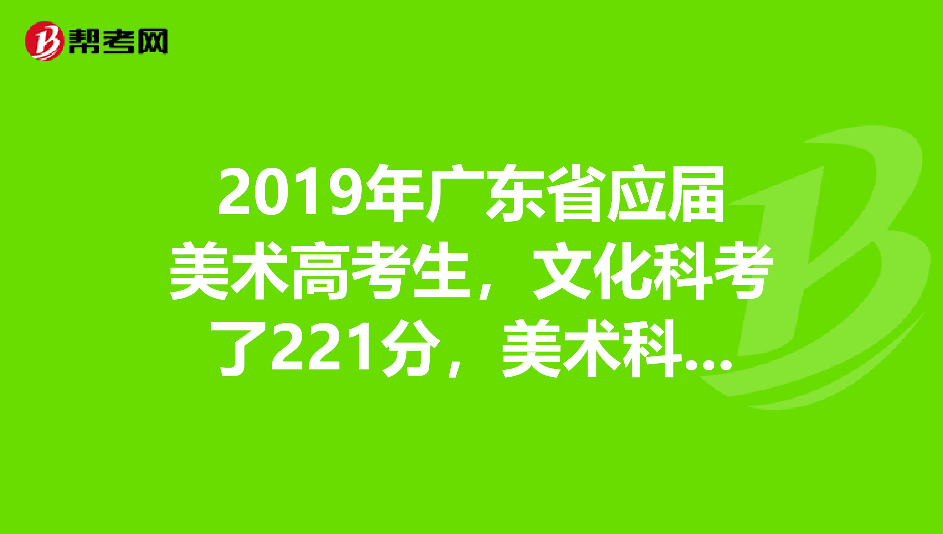 2019年广东省应届美术高考生，文化科考了221分，美术科223分，有什么第三批B线学校读