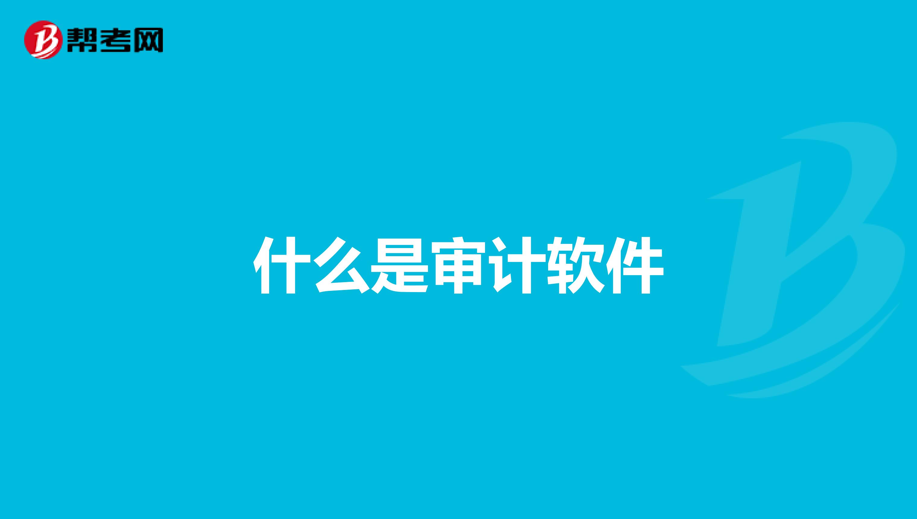 什么是审计软件