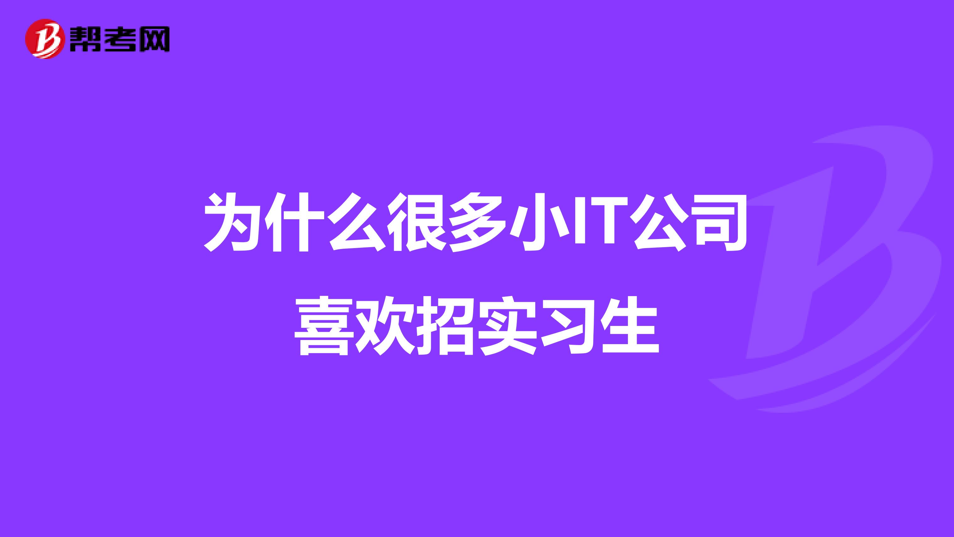 为什么很多小IT公司喜欢招实习生