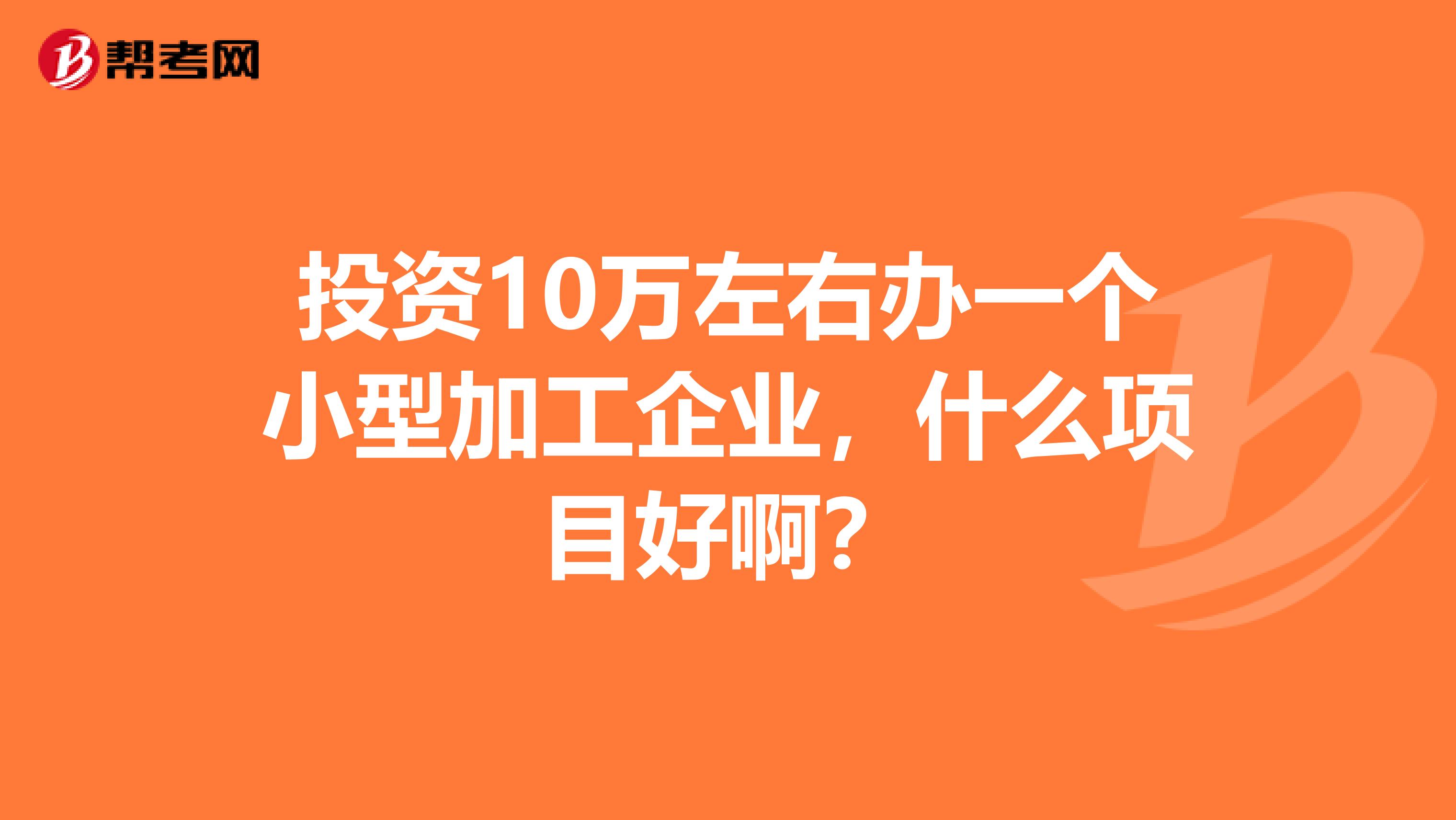 投资10万左右办一个小型加工企业，什么项目好啊？