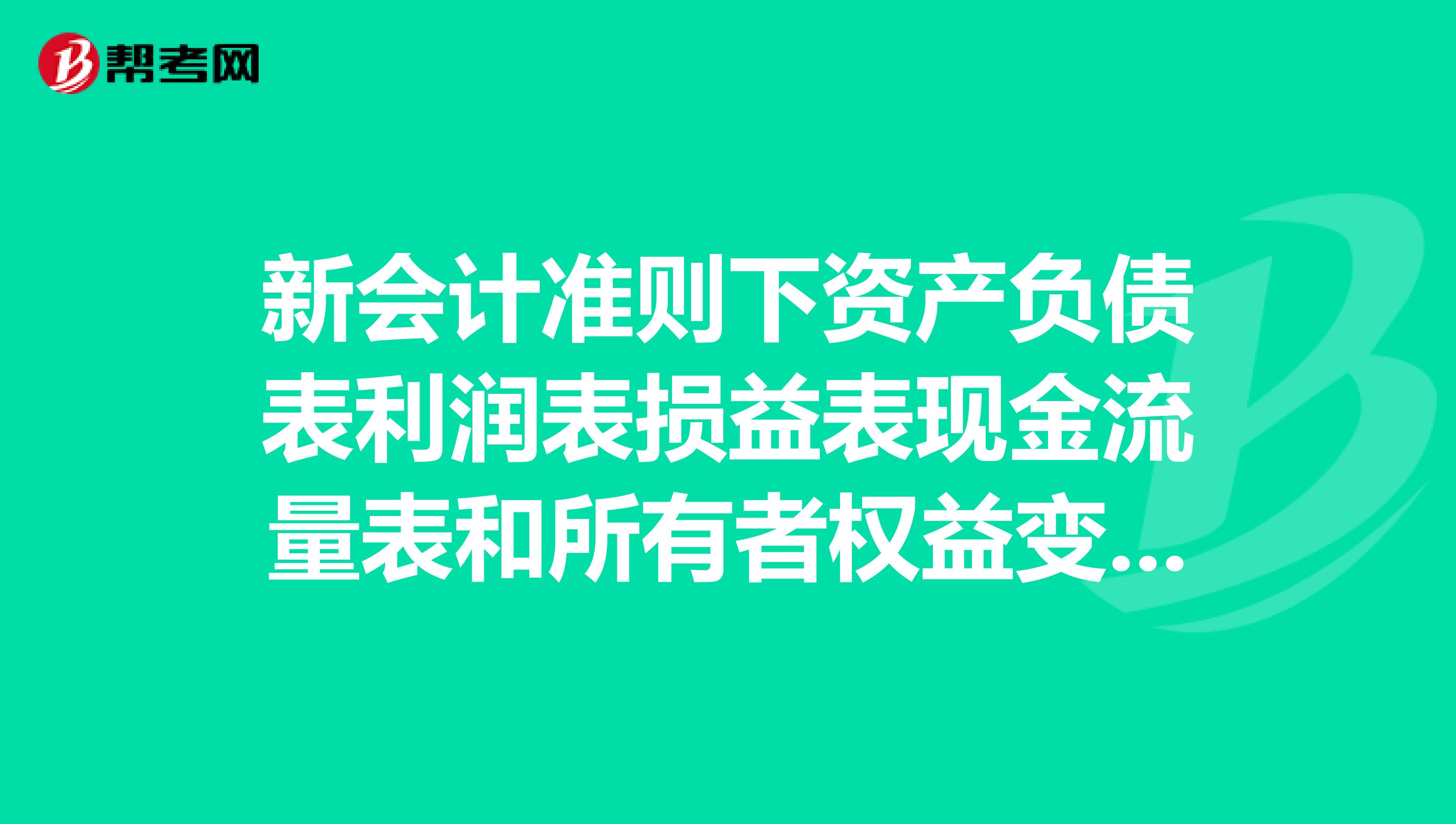 新会计准则下资产负债表利润表损益表现金流量表和所有者权益变动表格式带公式