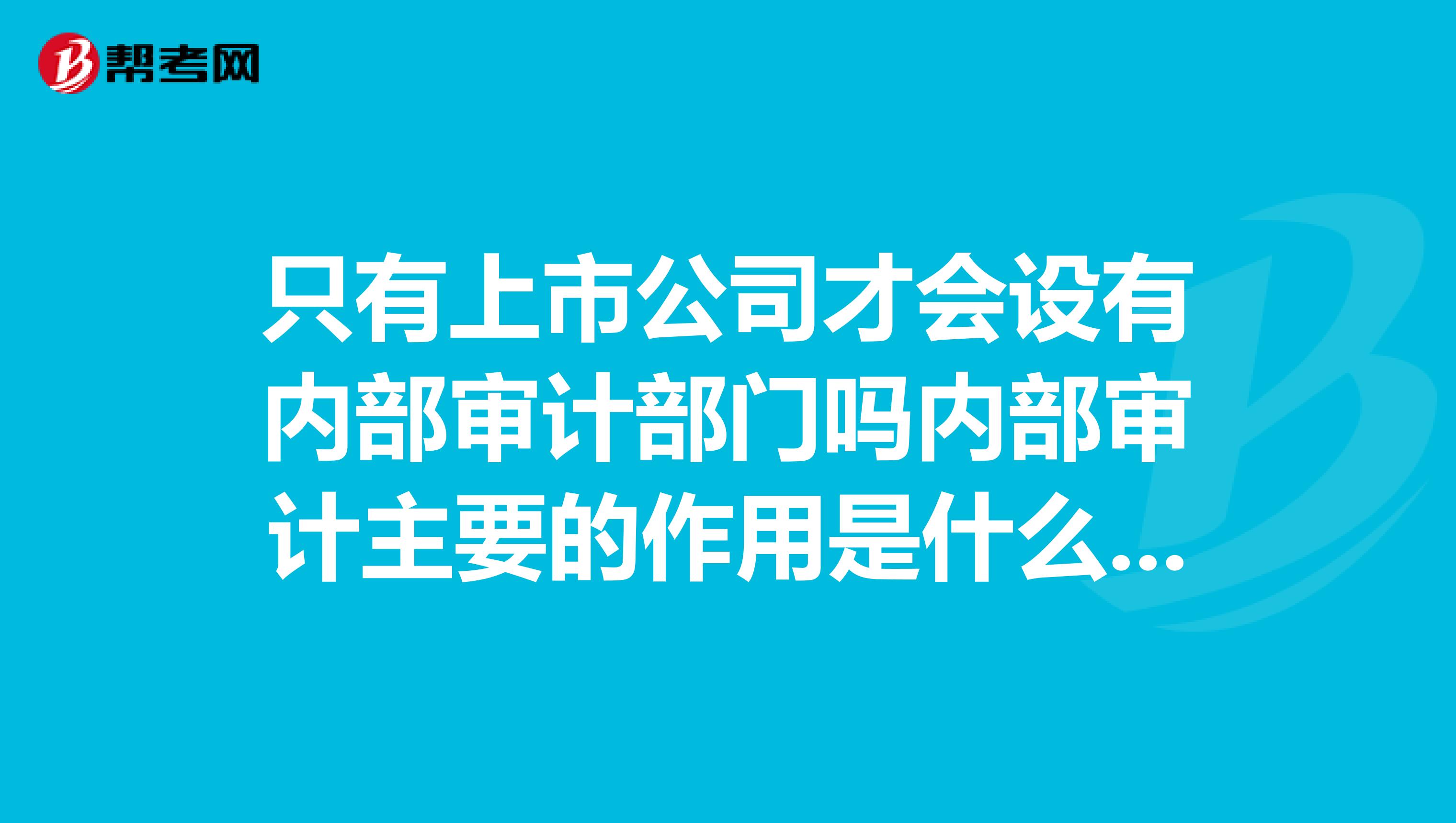 只有上市公司才会设有内部审计部门吗内部审计主要的作用是什么？都需要做什么工作？