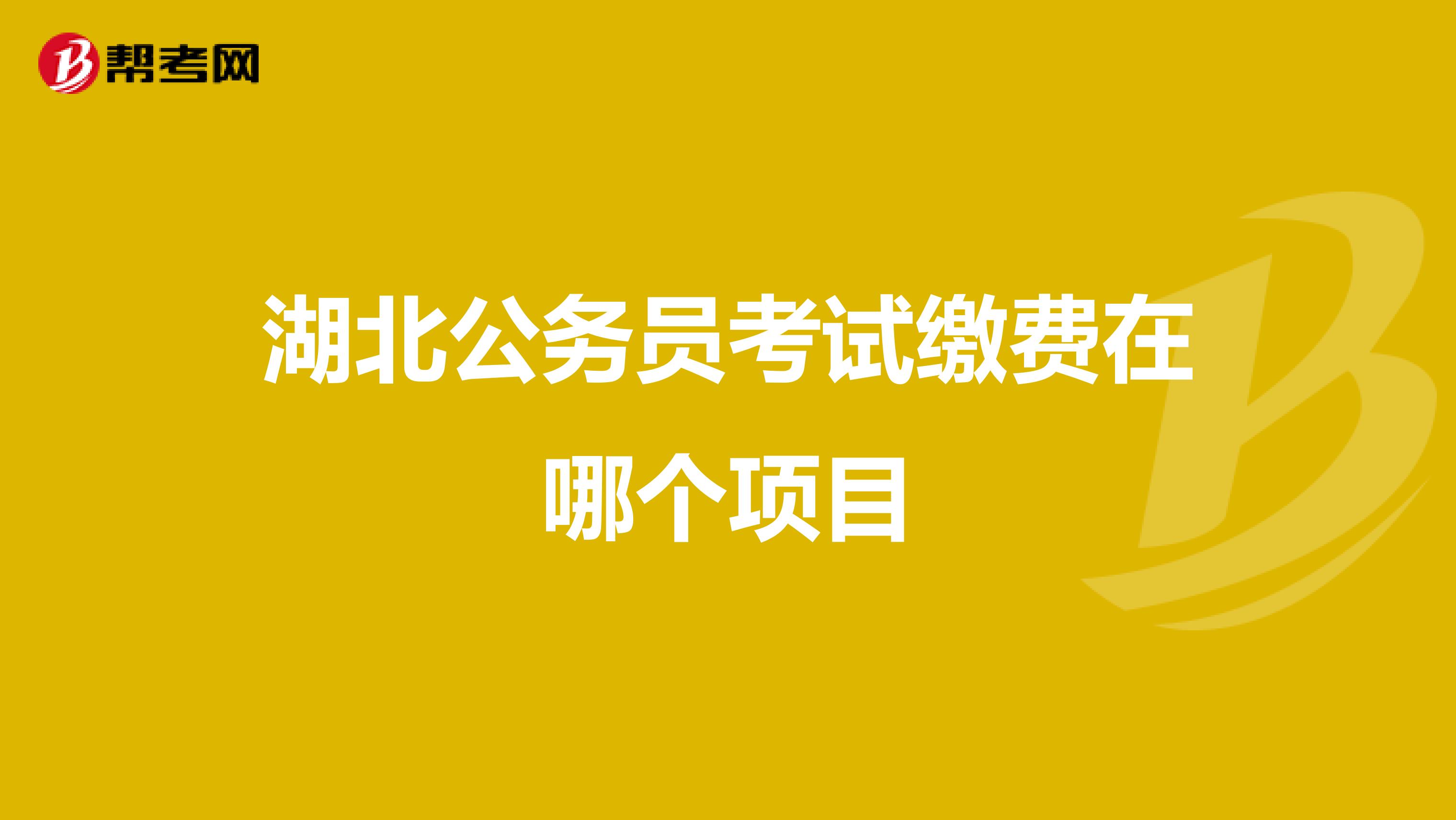 湖北公务员考试缴费在哪个项目