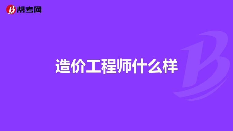 造价工程师什么样