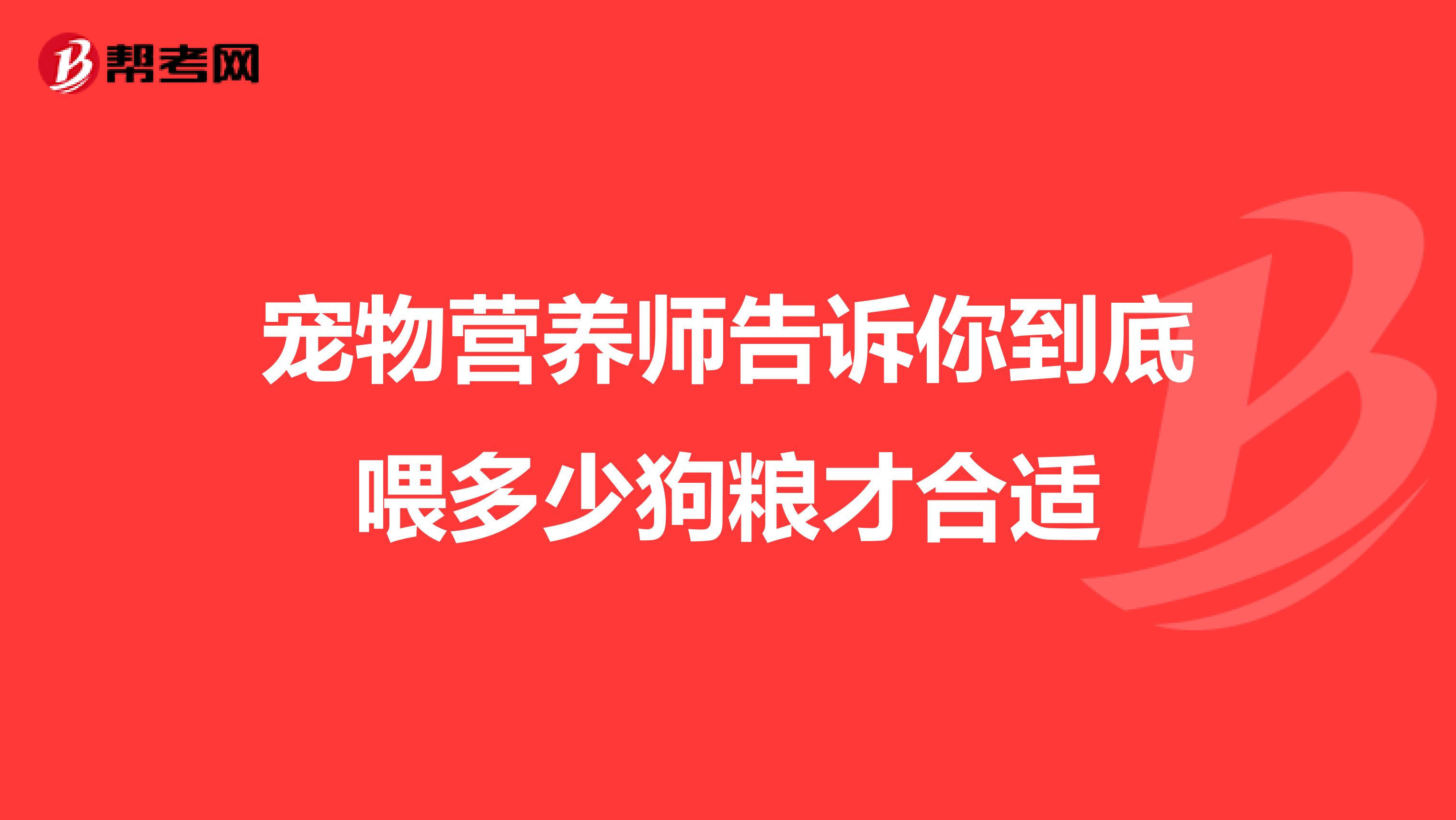宠物营养师告诉你到底喂多少狗粮才合适