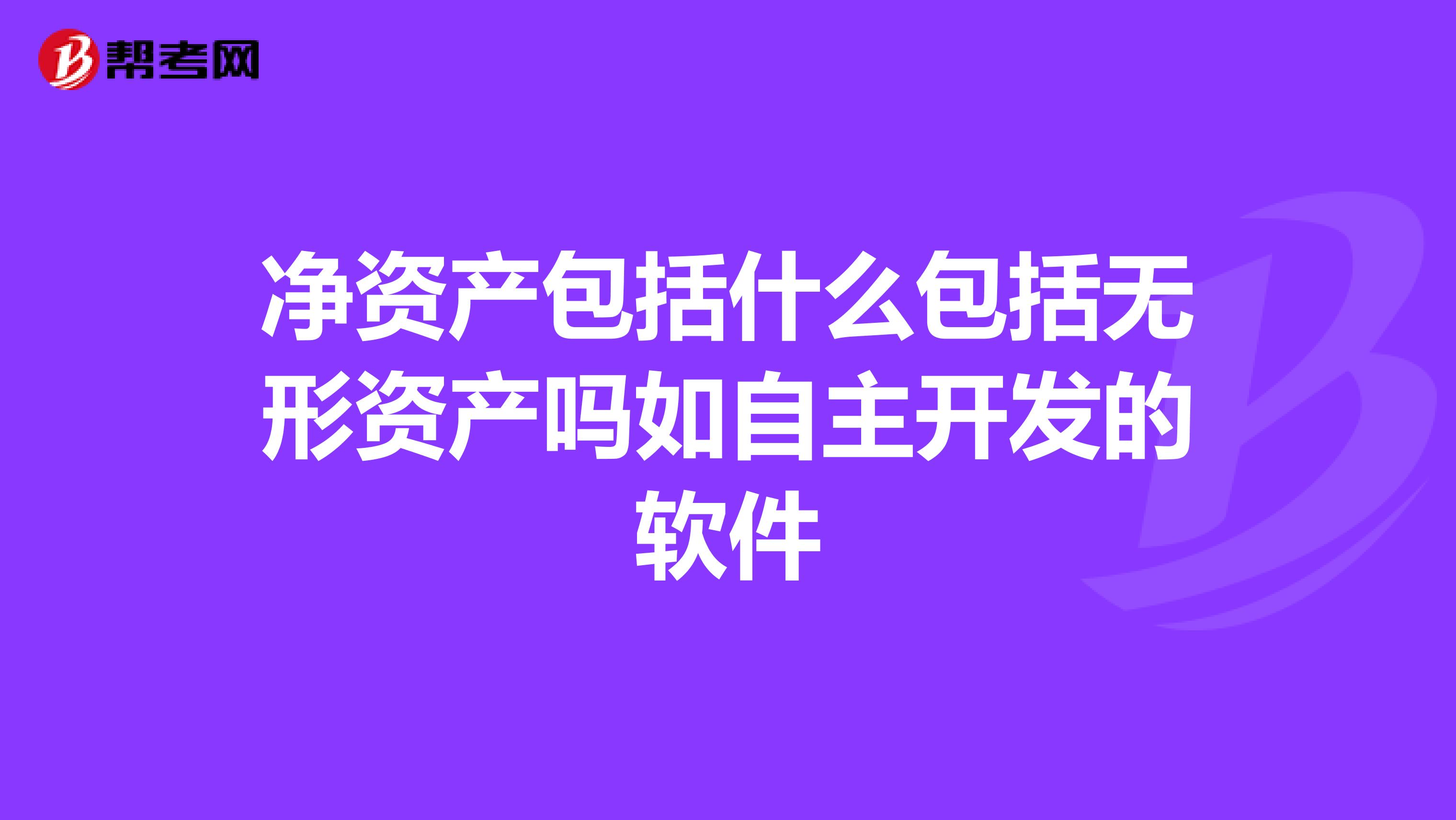 净资产包括什么包括无形资产吗如自主开发的软件