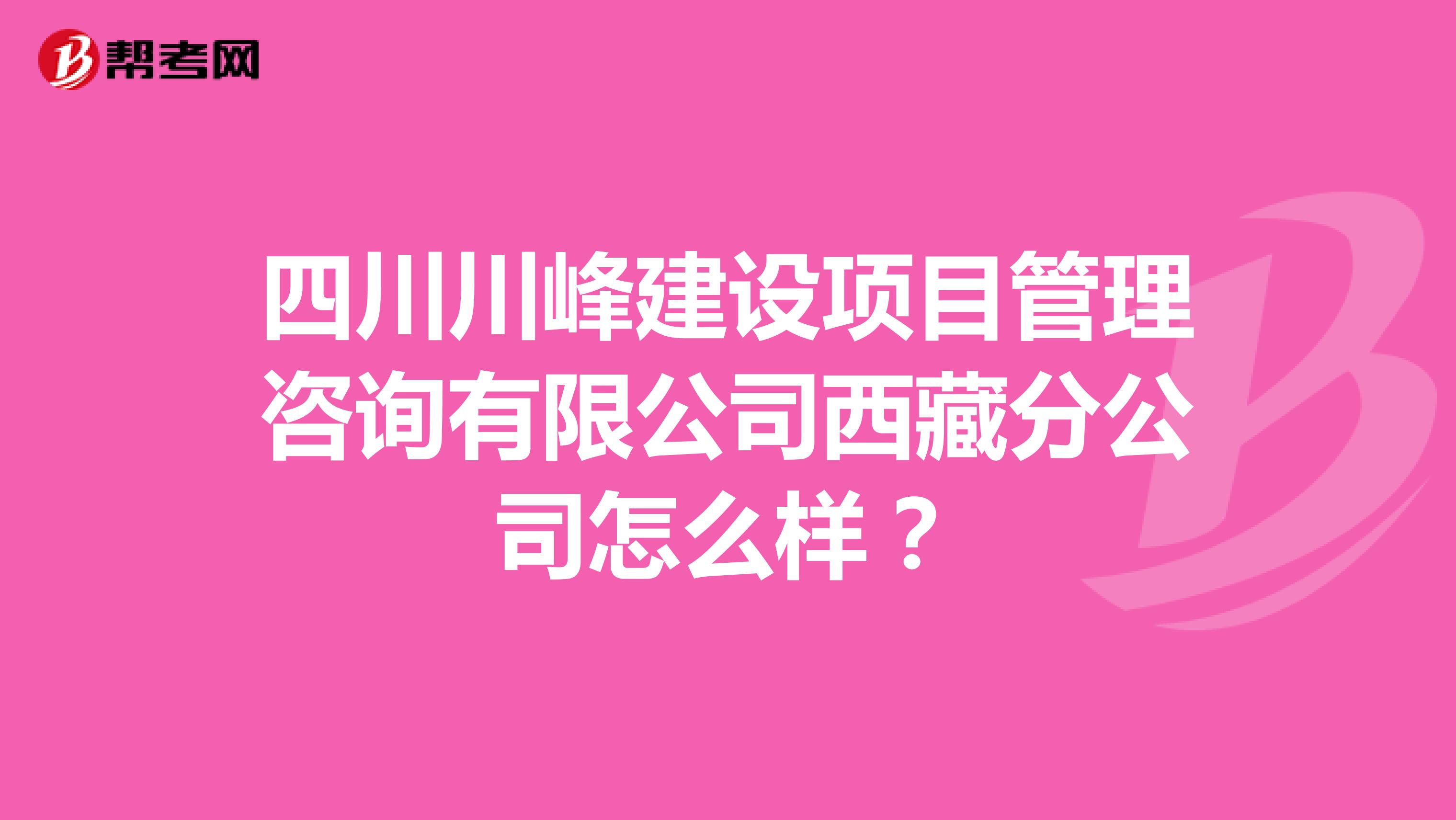 四川川峰建设项目管理咨询有限公司西藏分公司怎么样？