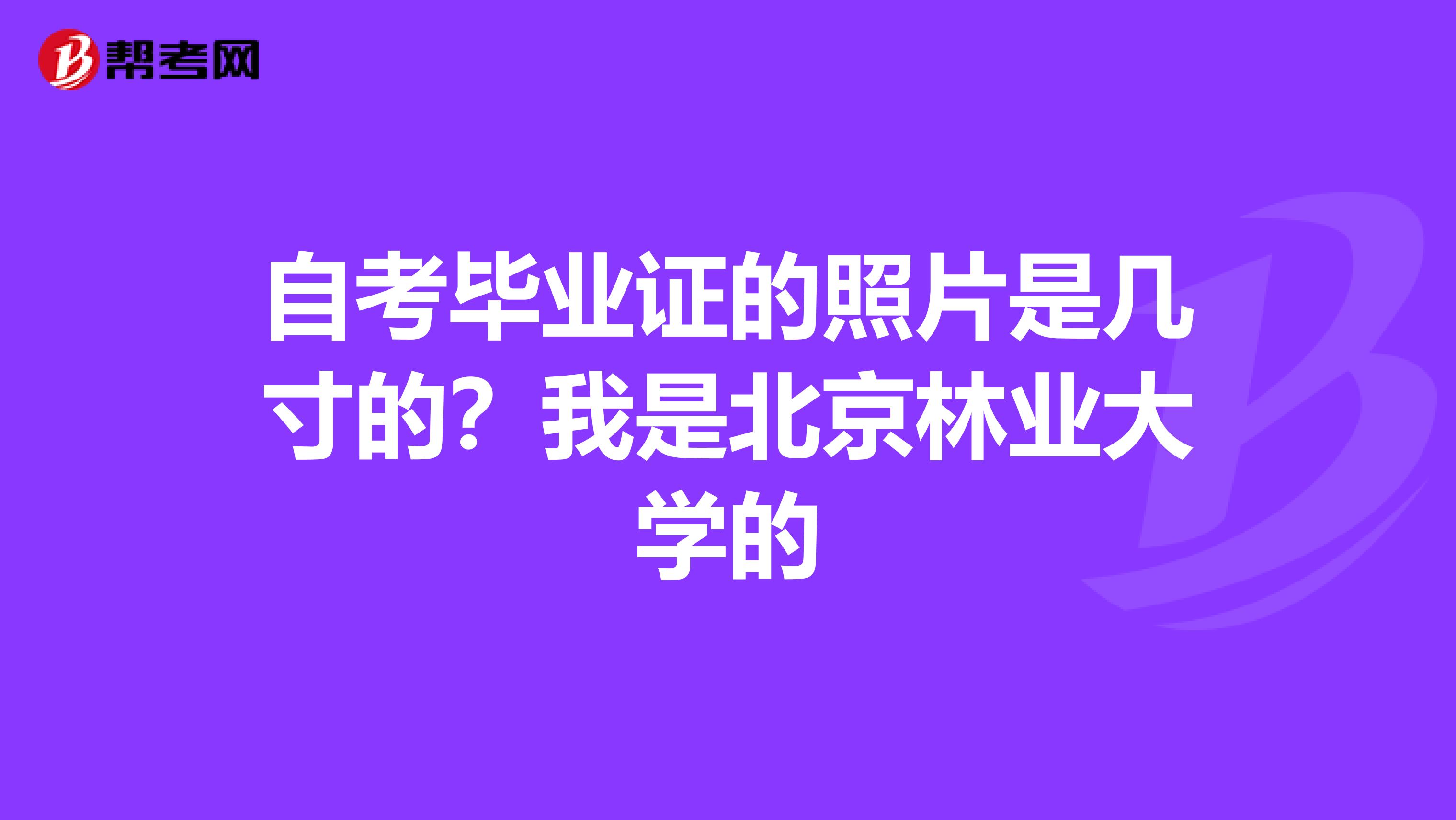 自考毕业证的照片是几寸的？我是北京林业大学的
