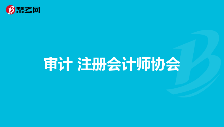 審計 注冊會計師協(xié)會