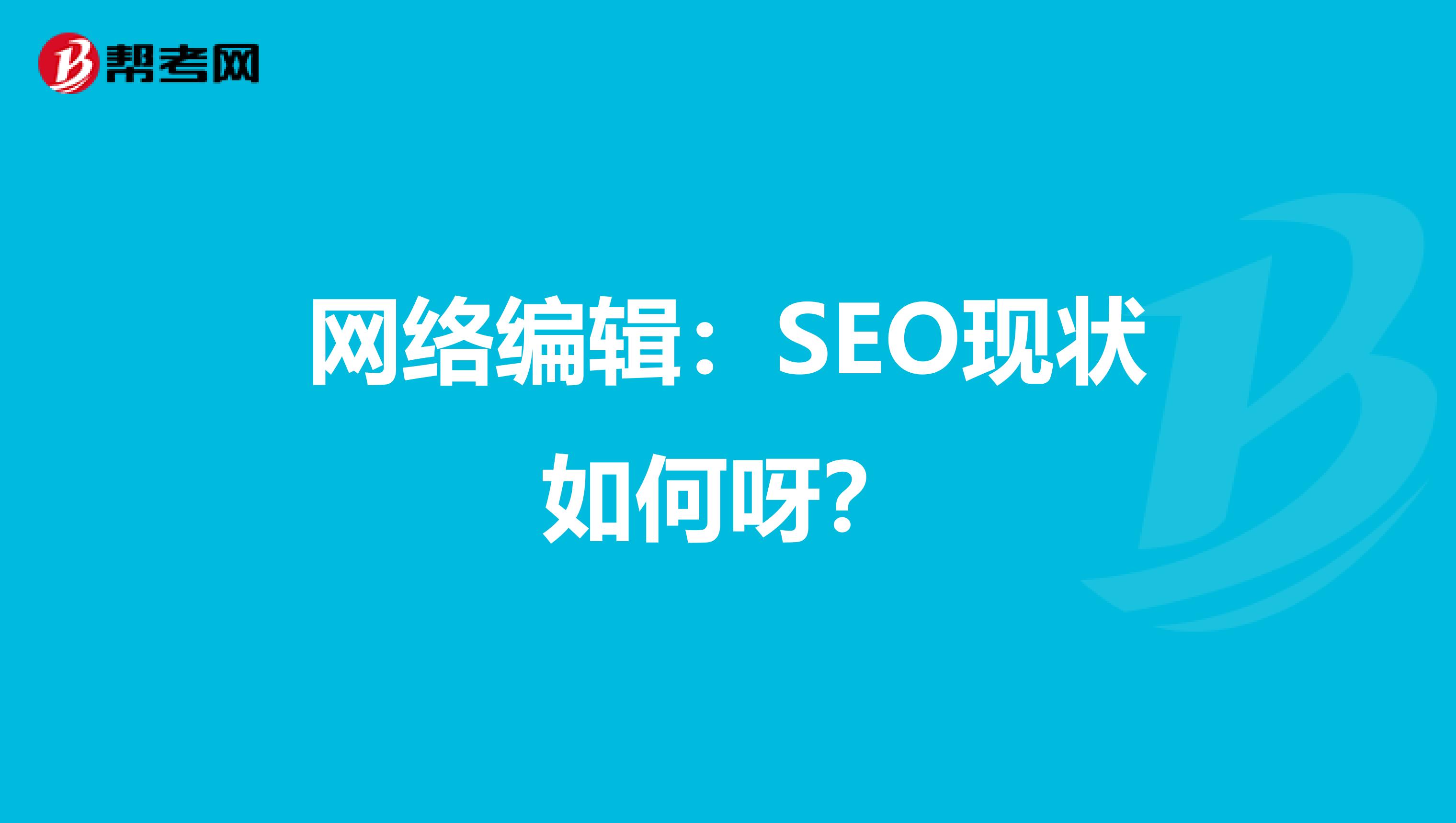 网络编辑:SEO现状如何呀?