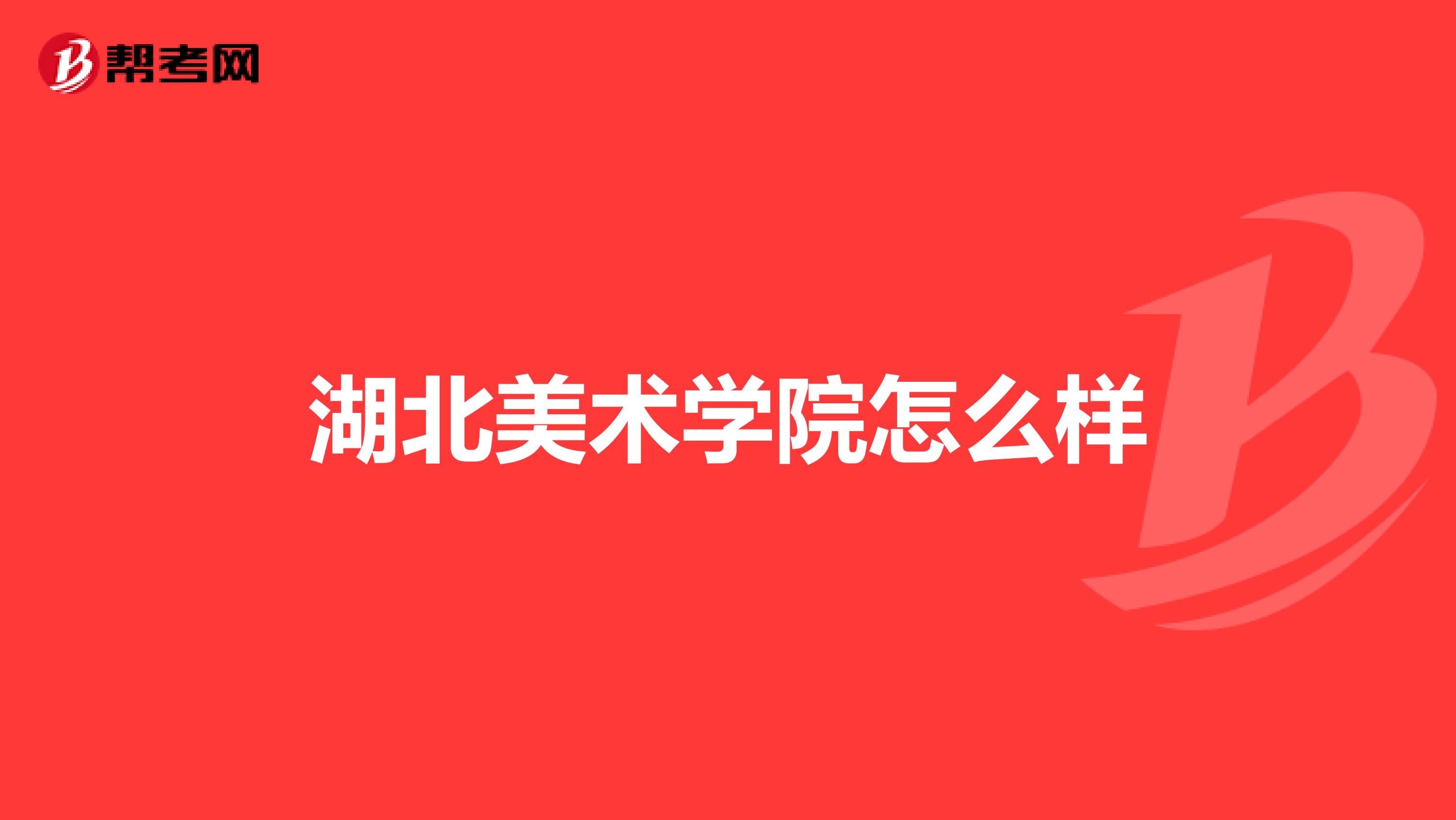 湖北美术学院怎么样