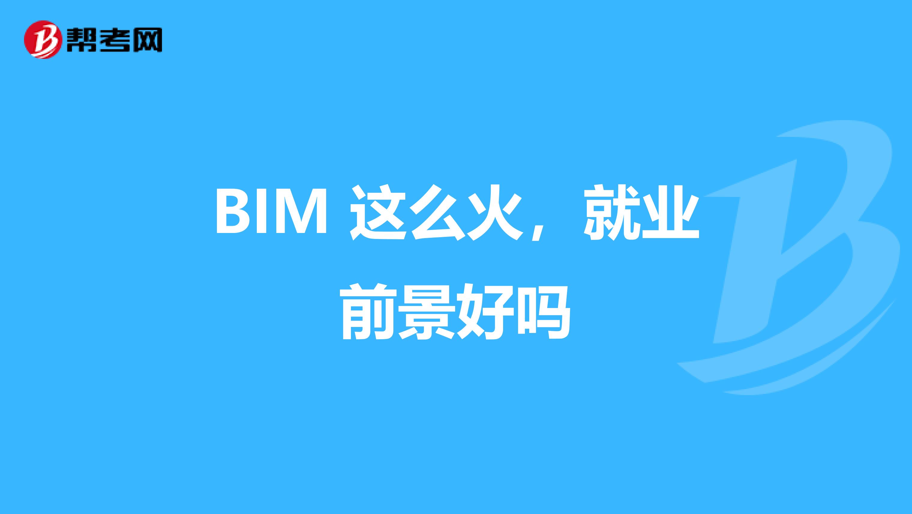 BIM 这么火，就业前景好吗