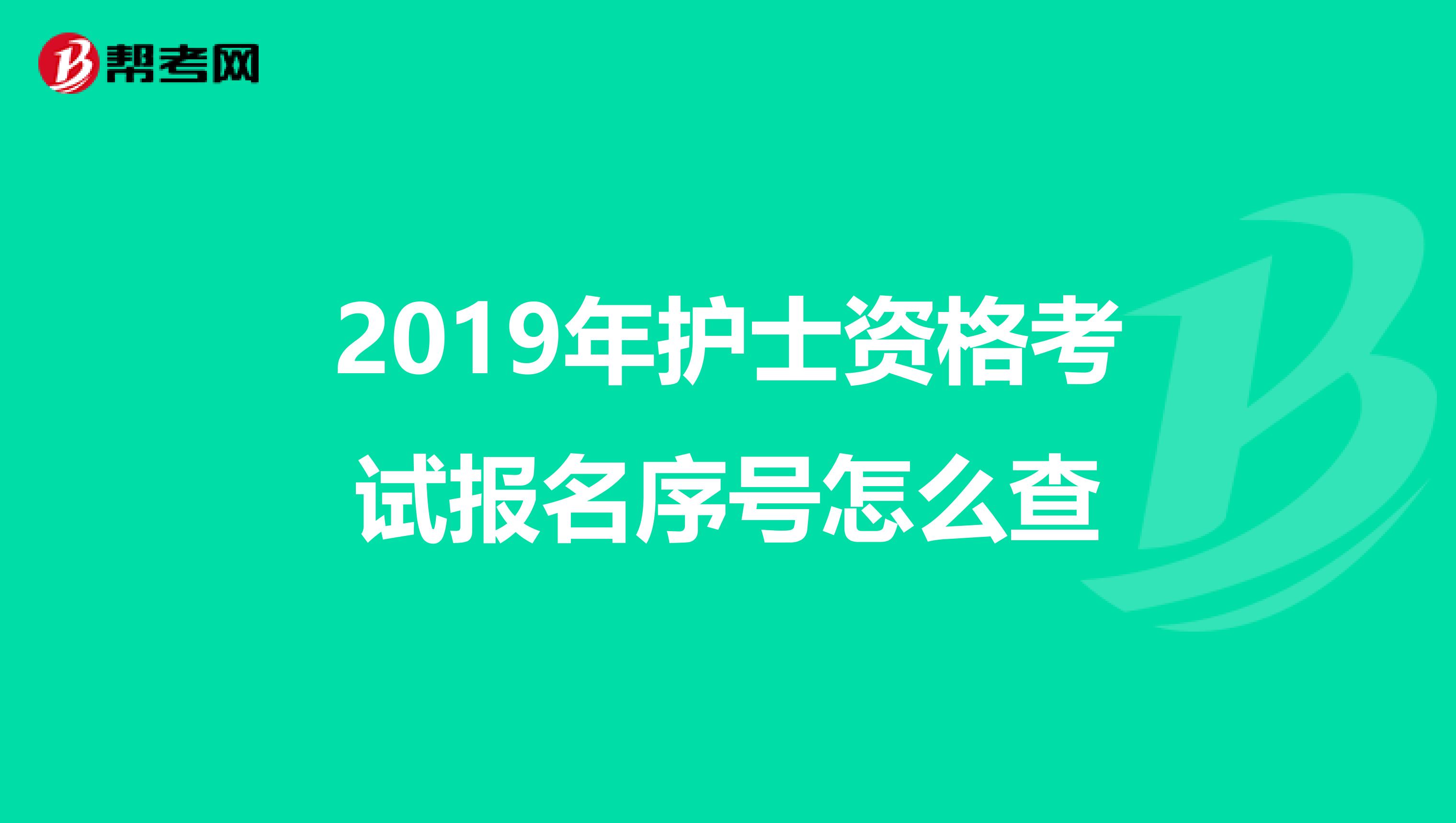 2019年护士资格考试报名序号怎么查