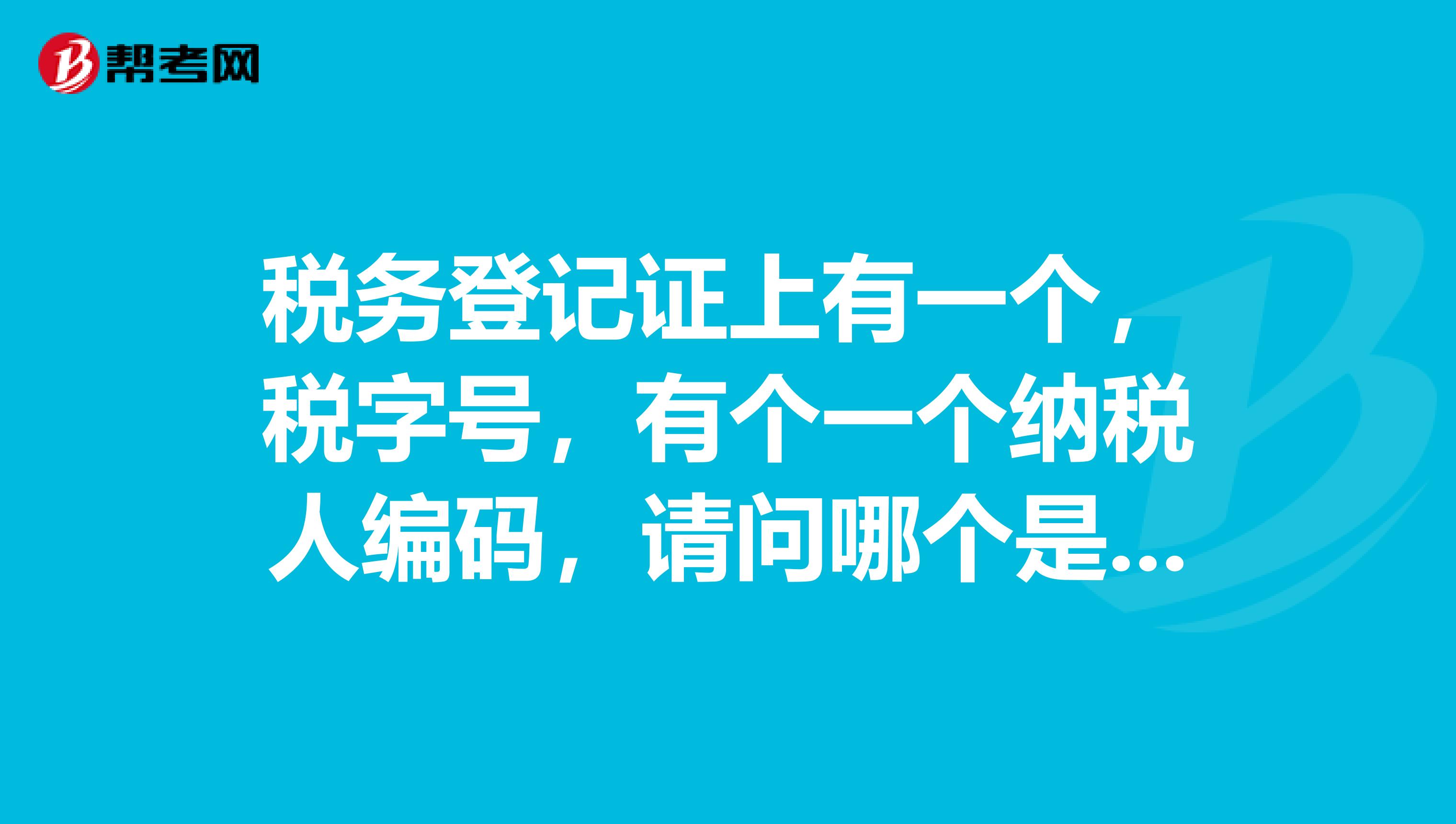 税务登记证上有一个,税字号,有个一个纳税人编码,请问哪个是税务登记号
