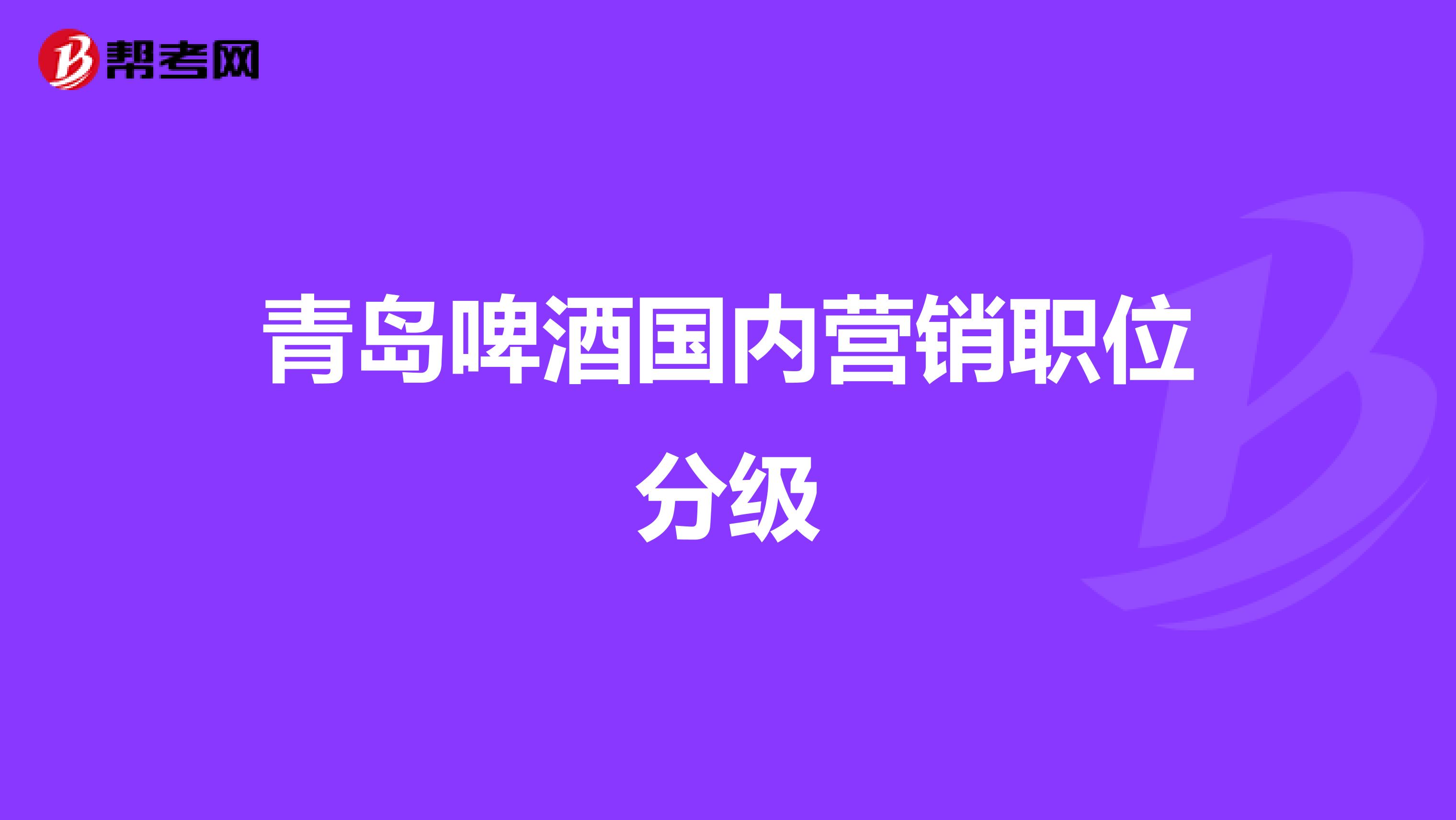 青岛啤酒国内营销职位分级