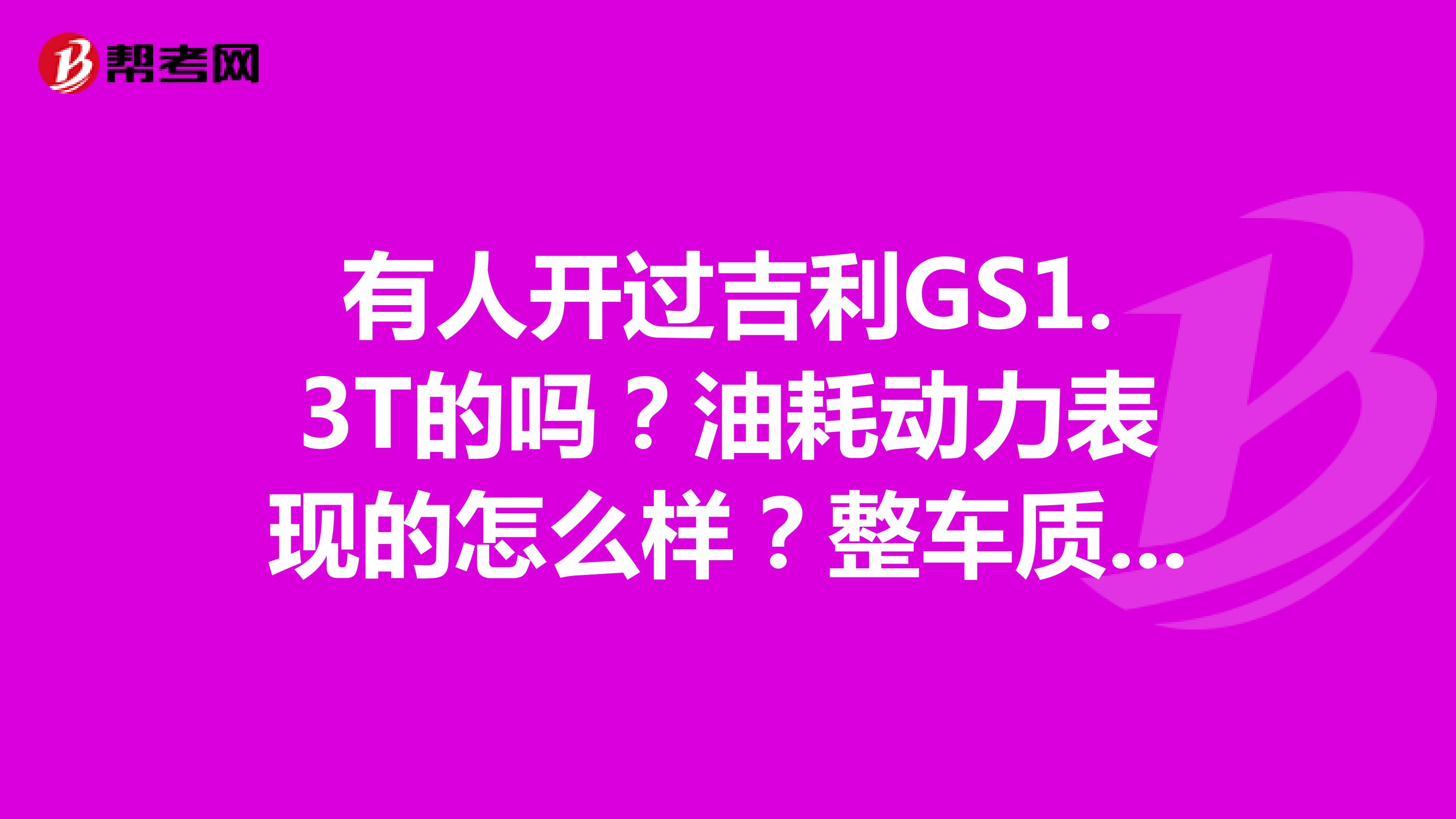 有人开过吉利GS1.3T的吗？油耗动力表现的怎么样？整车质量如何？