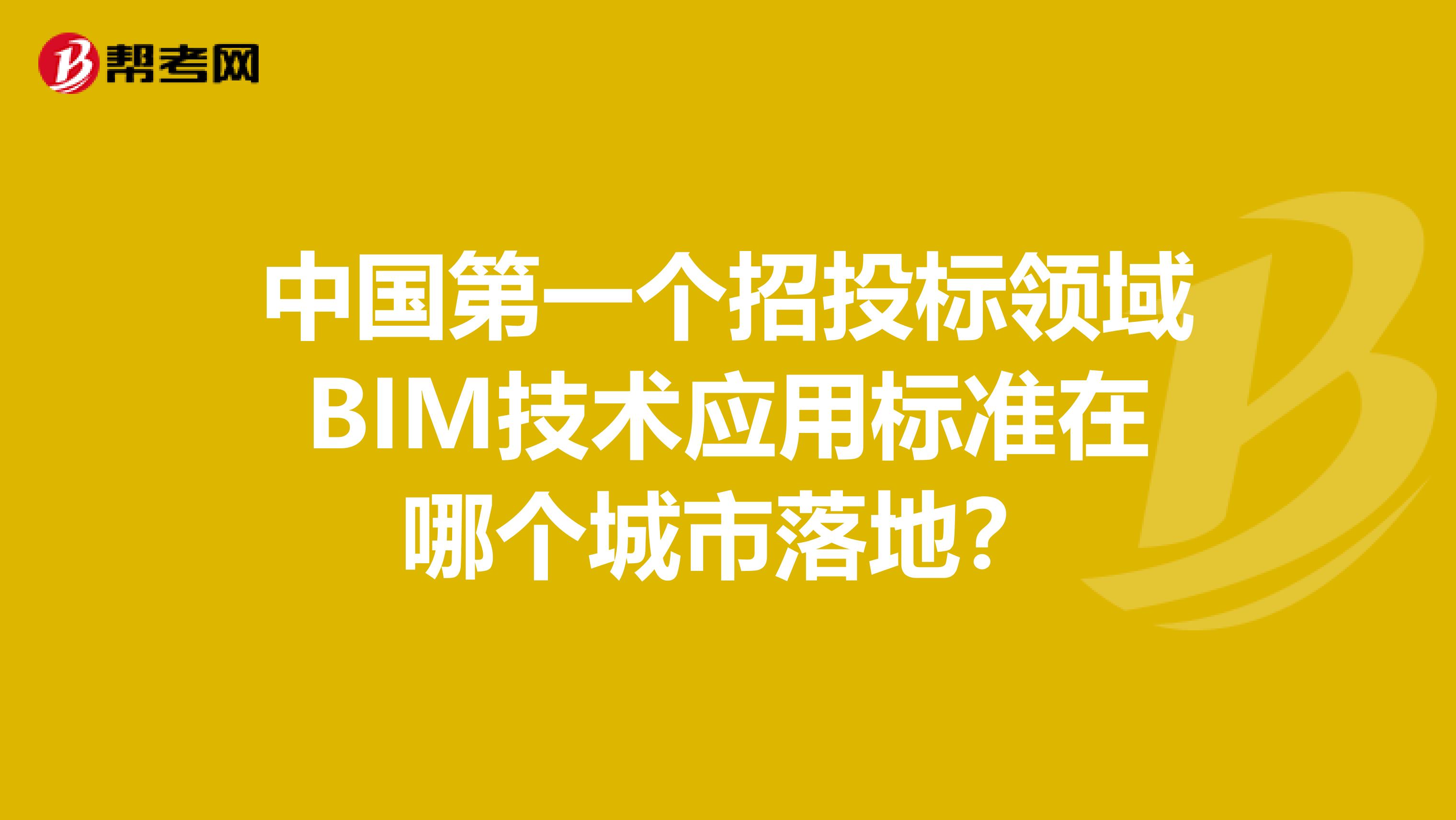 中国第一个招投标领域BIM技术应用标准在哪个城市落地?