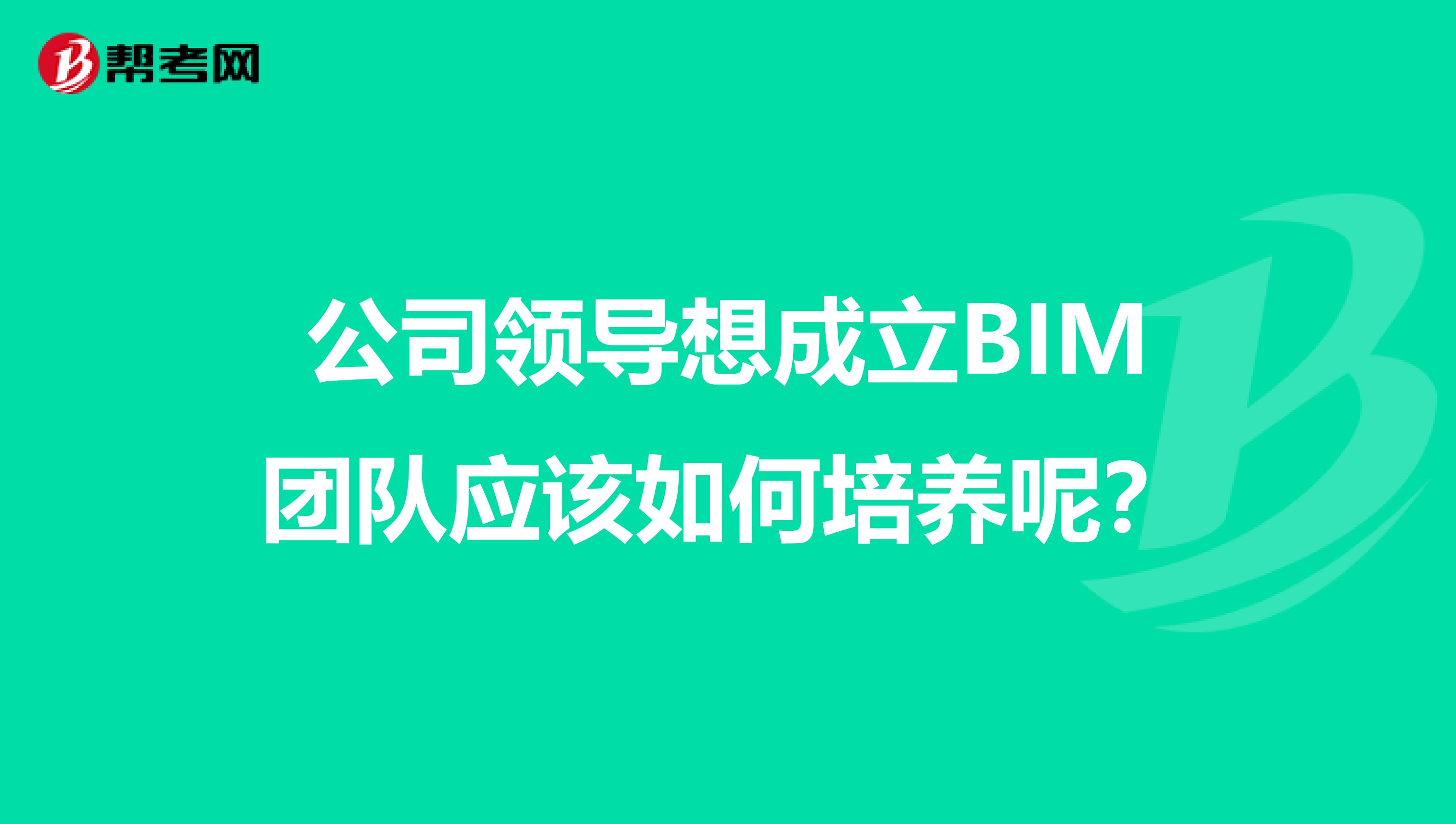 公司领导想成立BIM团队应该如何培养呢？