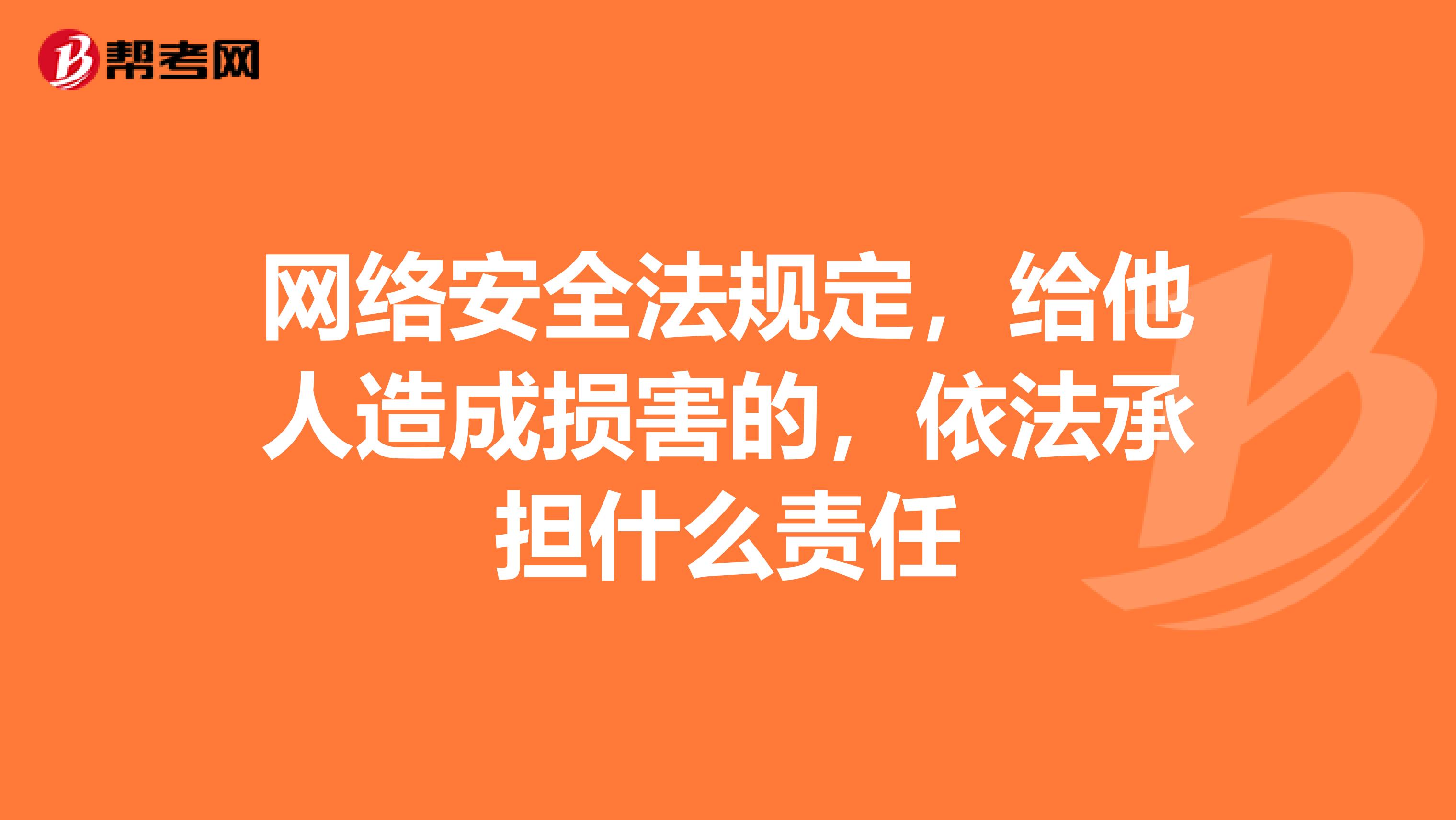 网络安全法规定，给他人造成损害的，依法承担什么责任