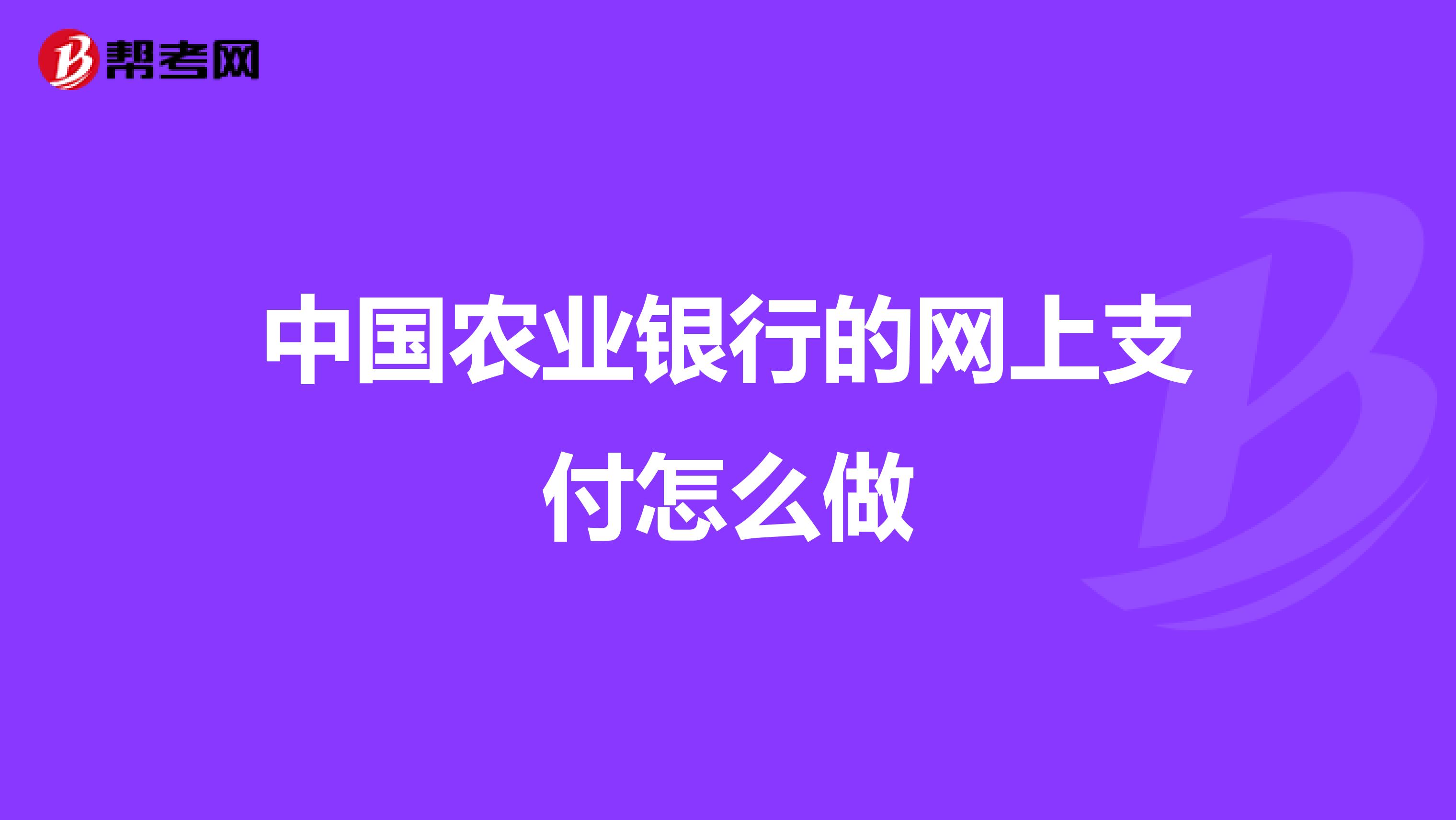中国农业银行的网上支付怎么做