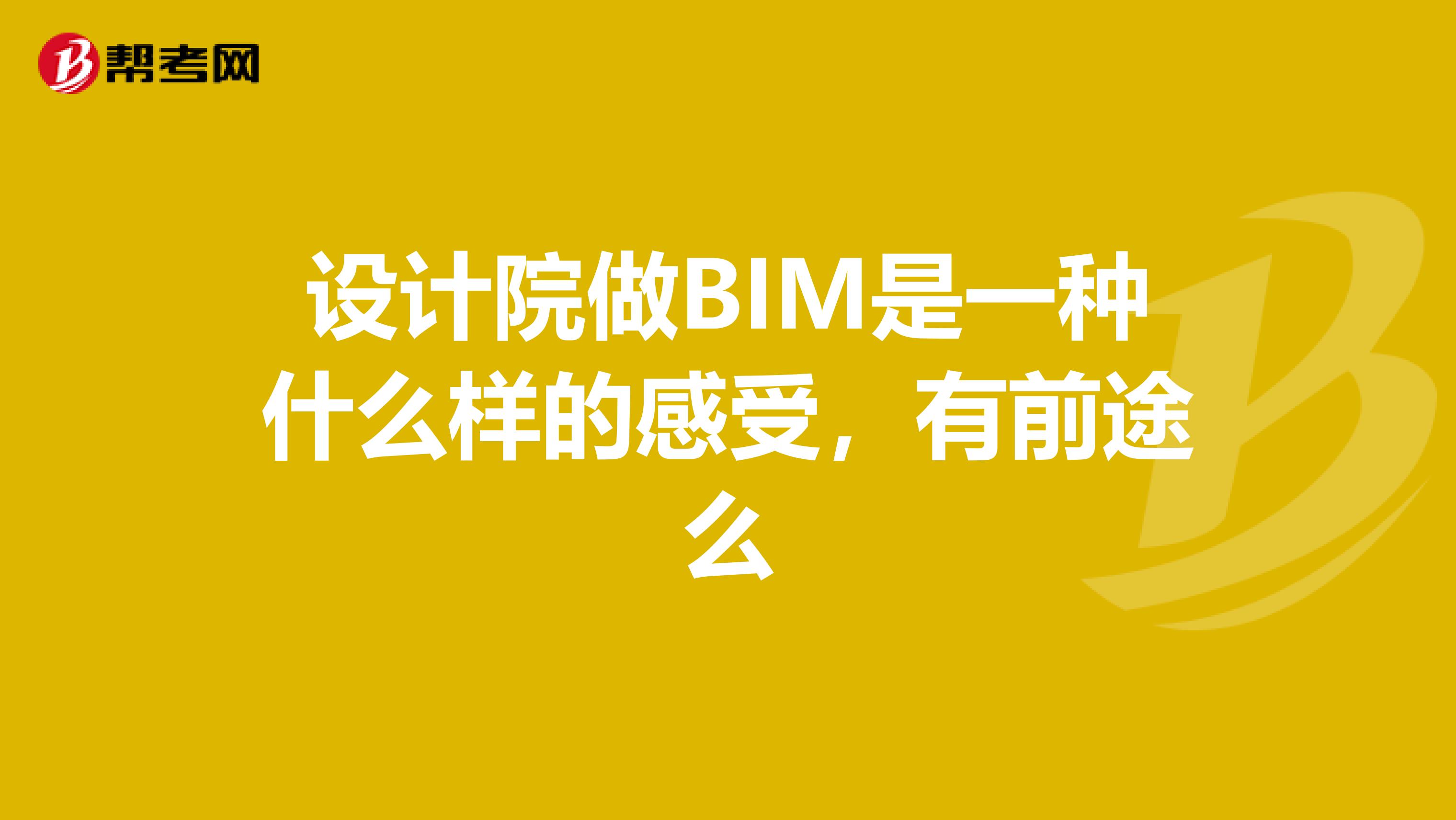设计院做BIM是一种什么样的感受，有前途么