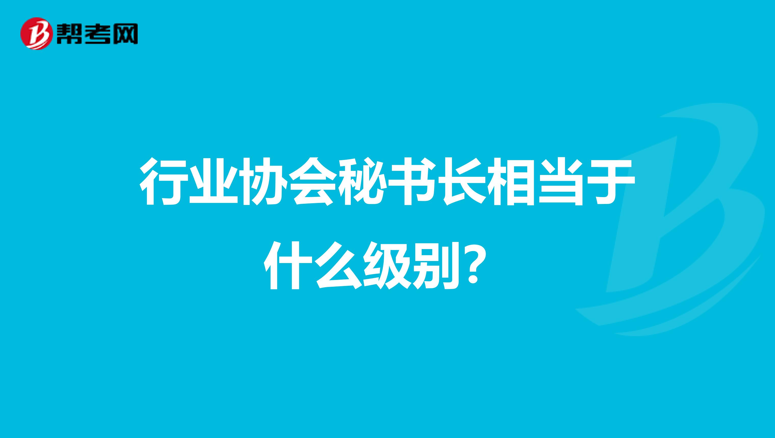 行业协会秘书长相当于什么级别？