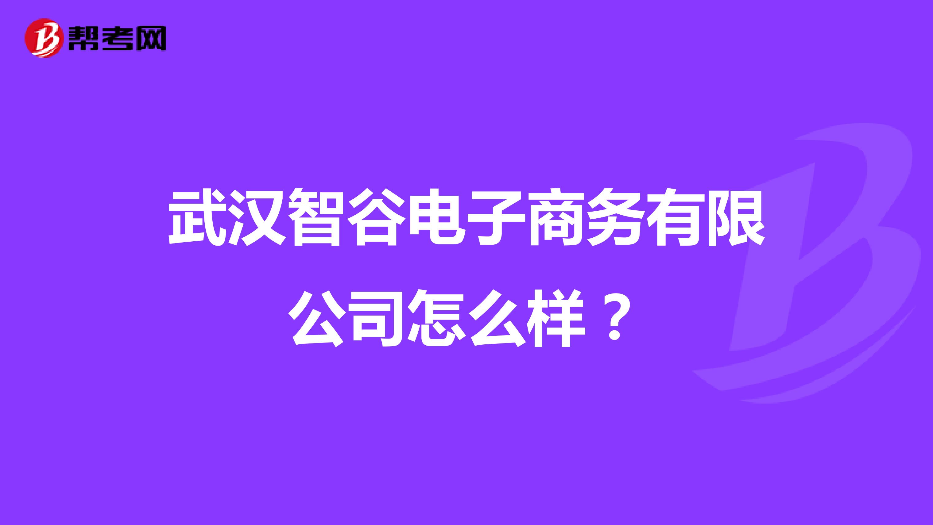 武汉智谷电子商务有限公司怎么样?